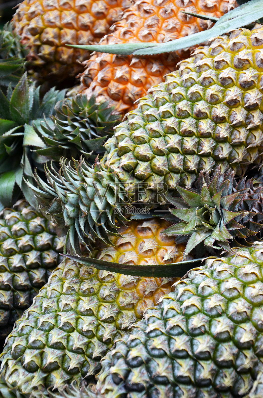 菠萝照片摄影图片