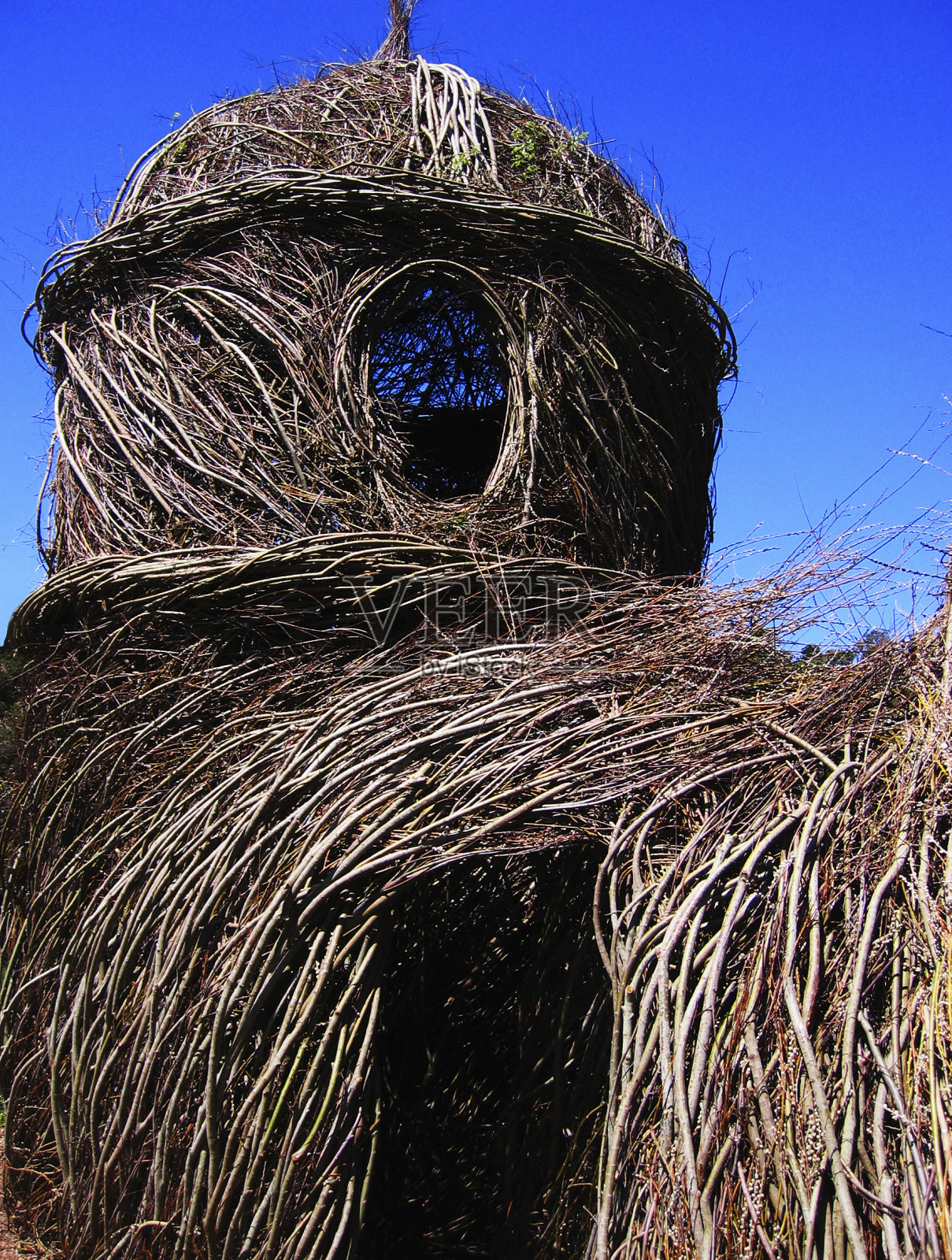 暗蓝色天空的小树枝房子照片摄影图片
