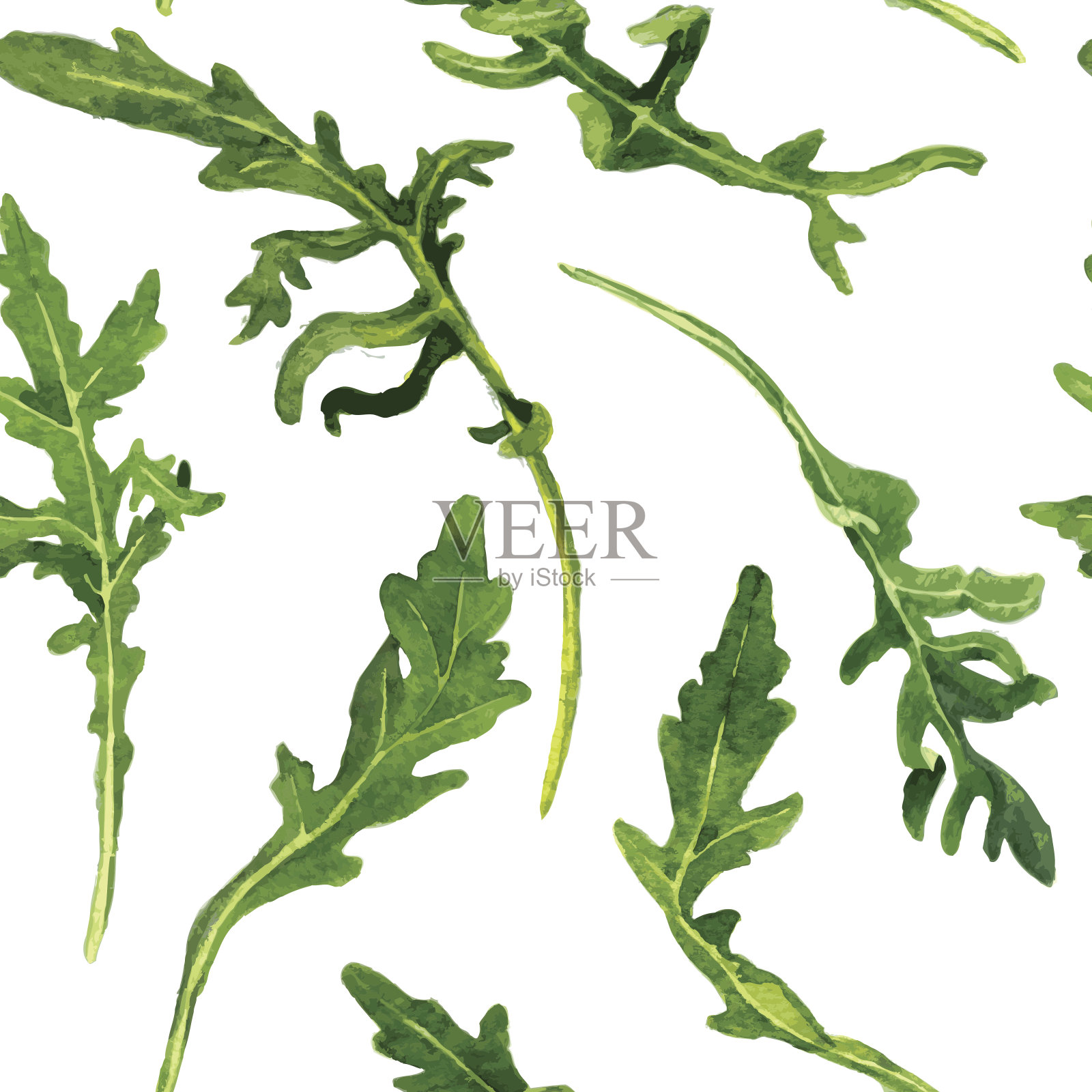 白色背景上有芝麻叶的无缝图案插画图片素材