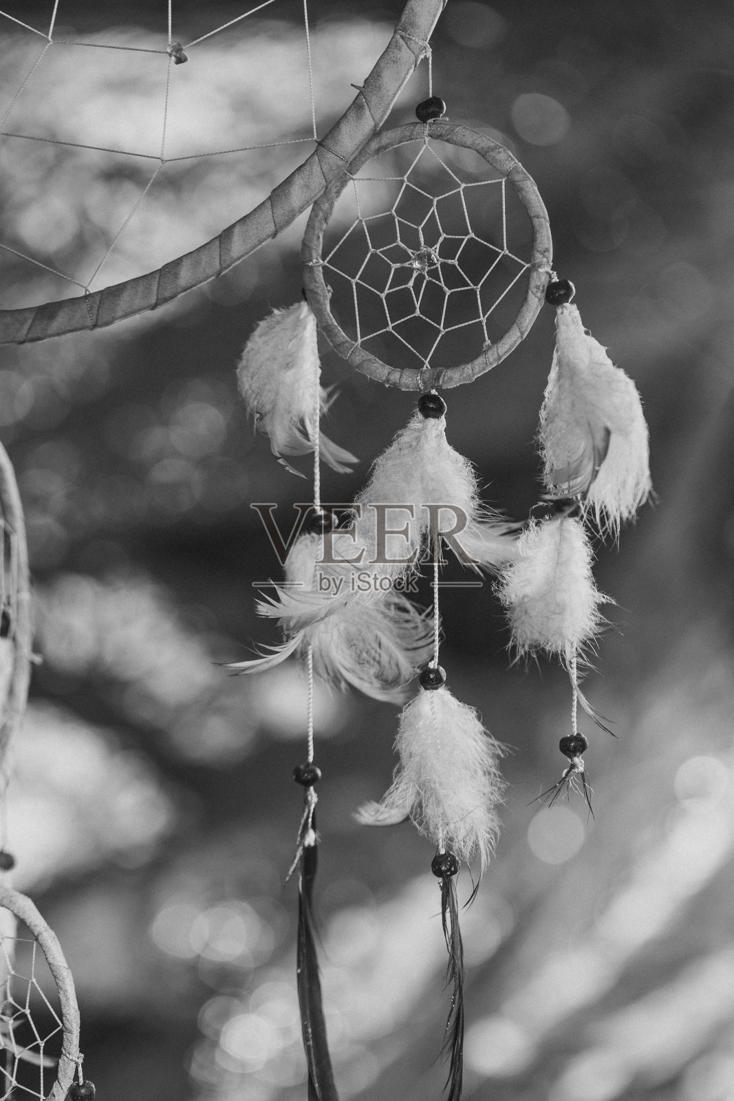 日落时分的捕梦网黑白照片照片摄影图片