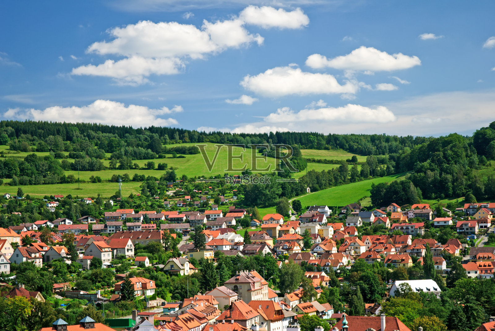 看着塞斯基·克鲁诺夫照片摄影图片