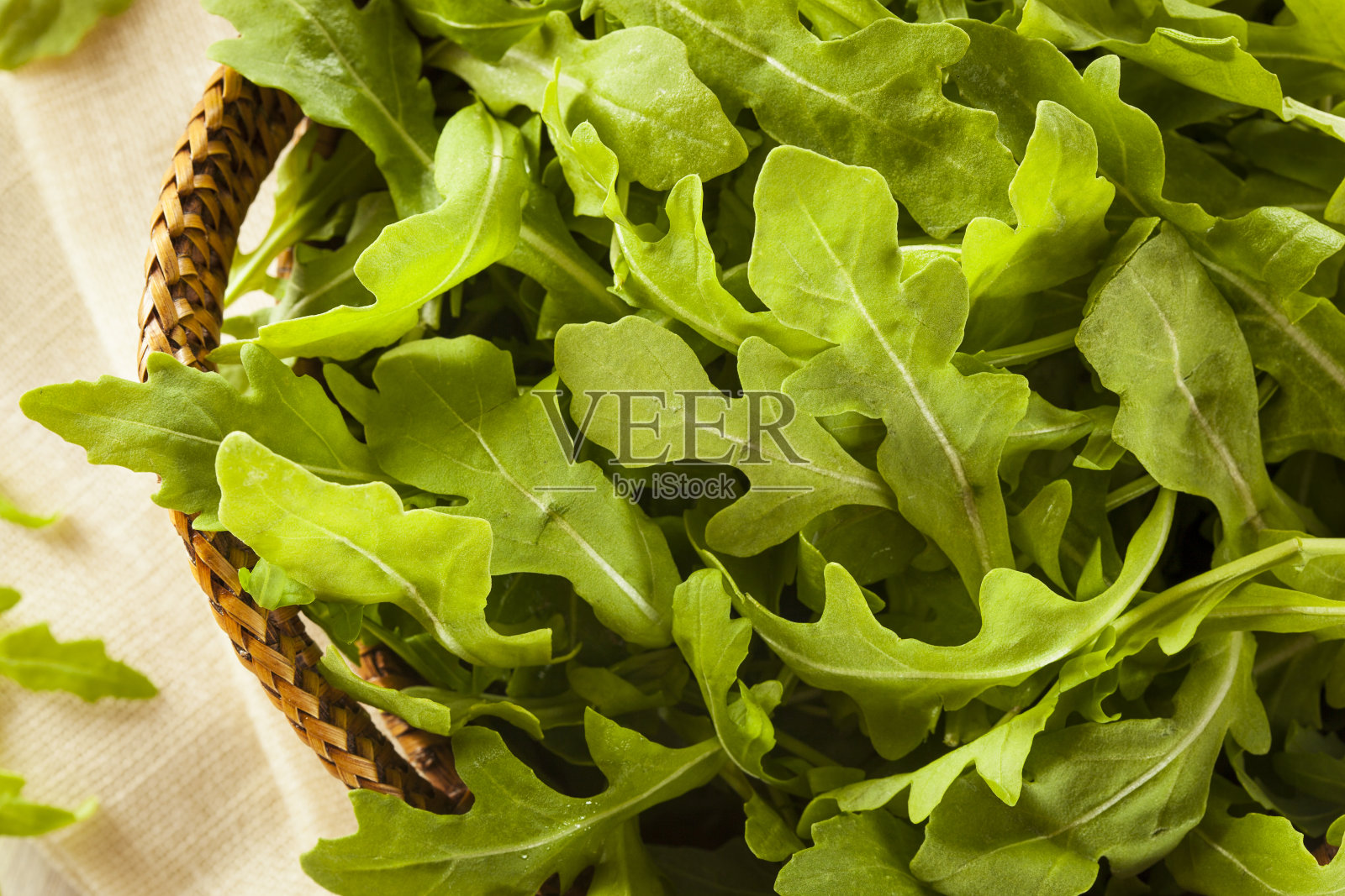 有机生绿色芝麻菜照片摄影图片