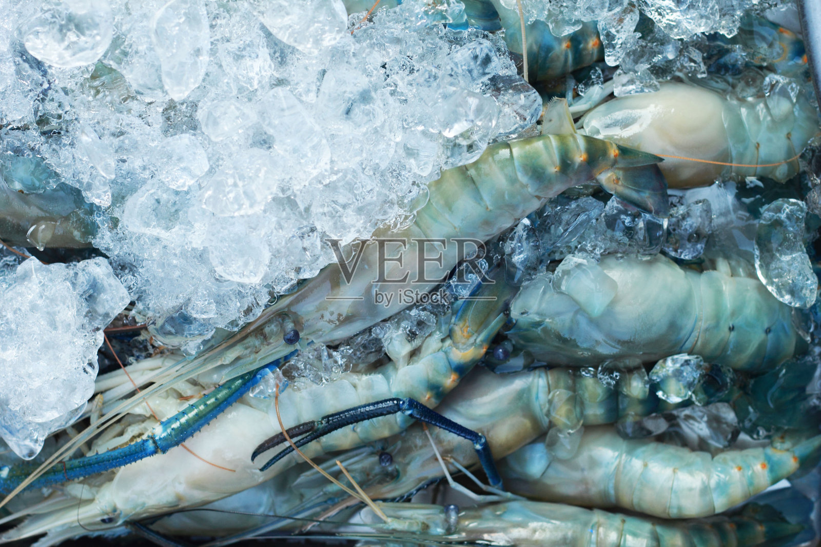 鲜虾冰镇市场照片摄影图片