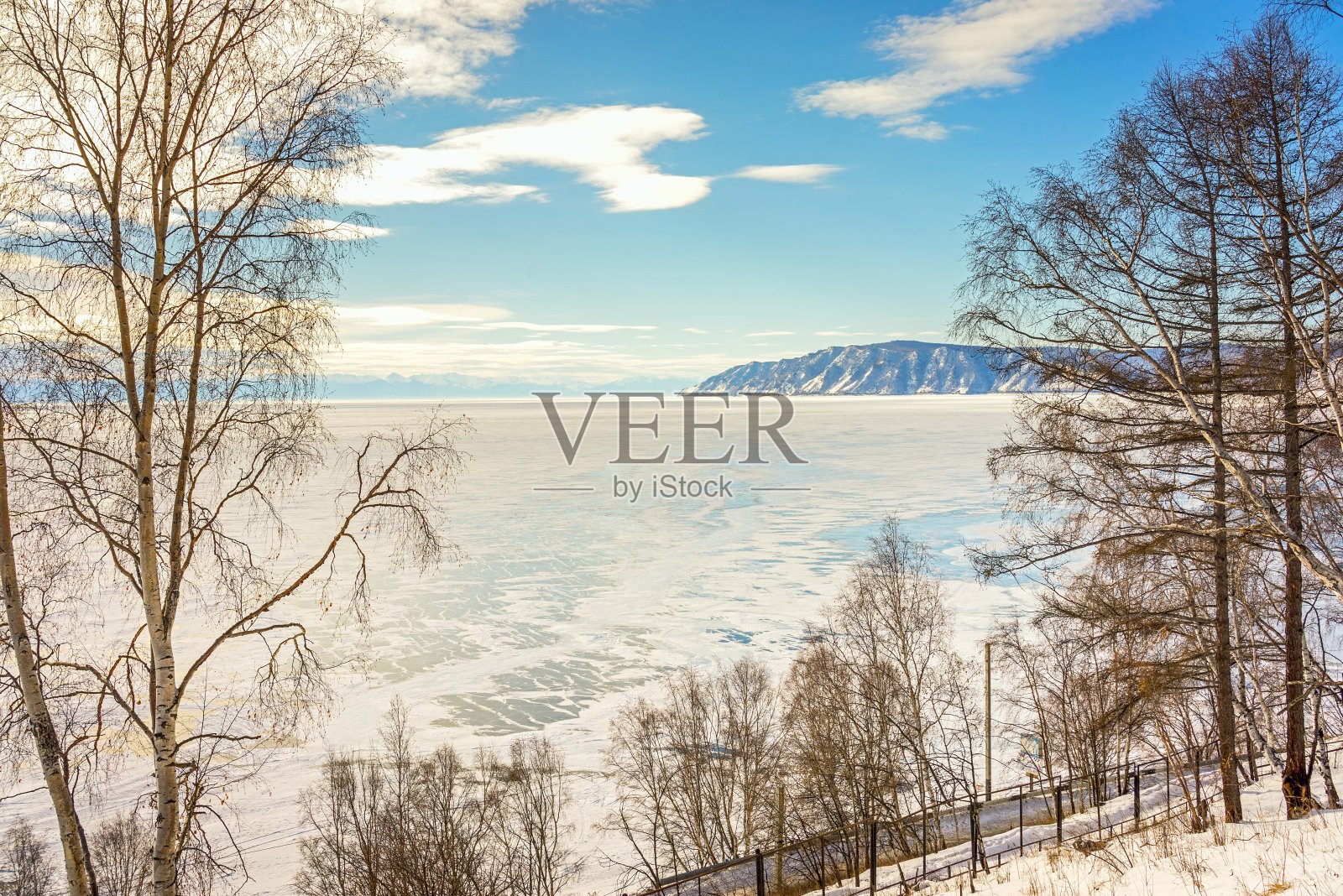 冬季景观:贝加尔湖背景上的树木照片摄影图片