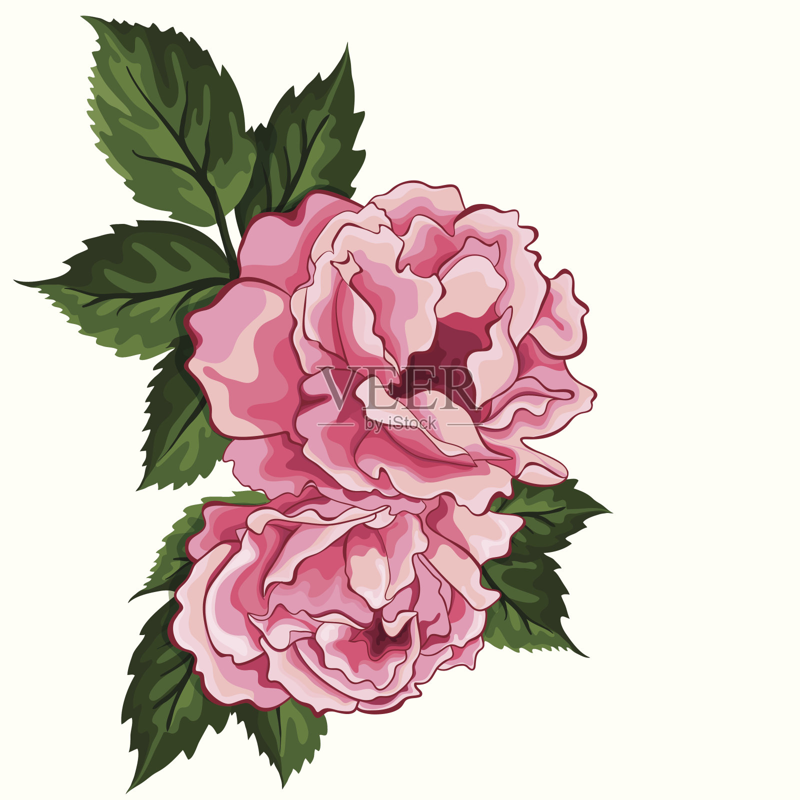 矢量背景牡丹-插图插画图片素材