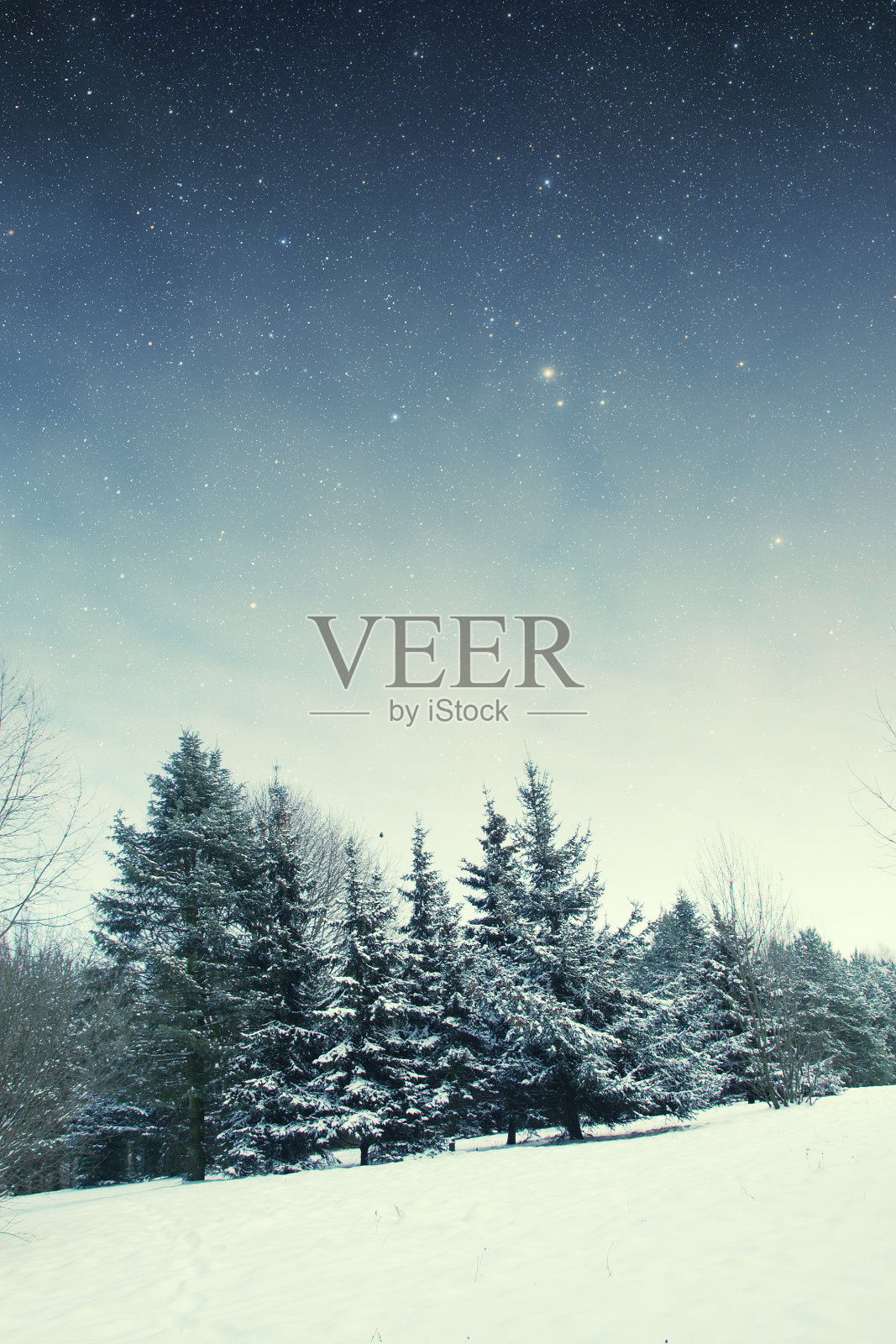 公园里的冬夜。照片摄影图片