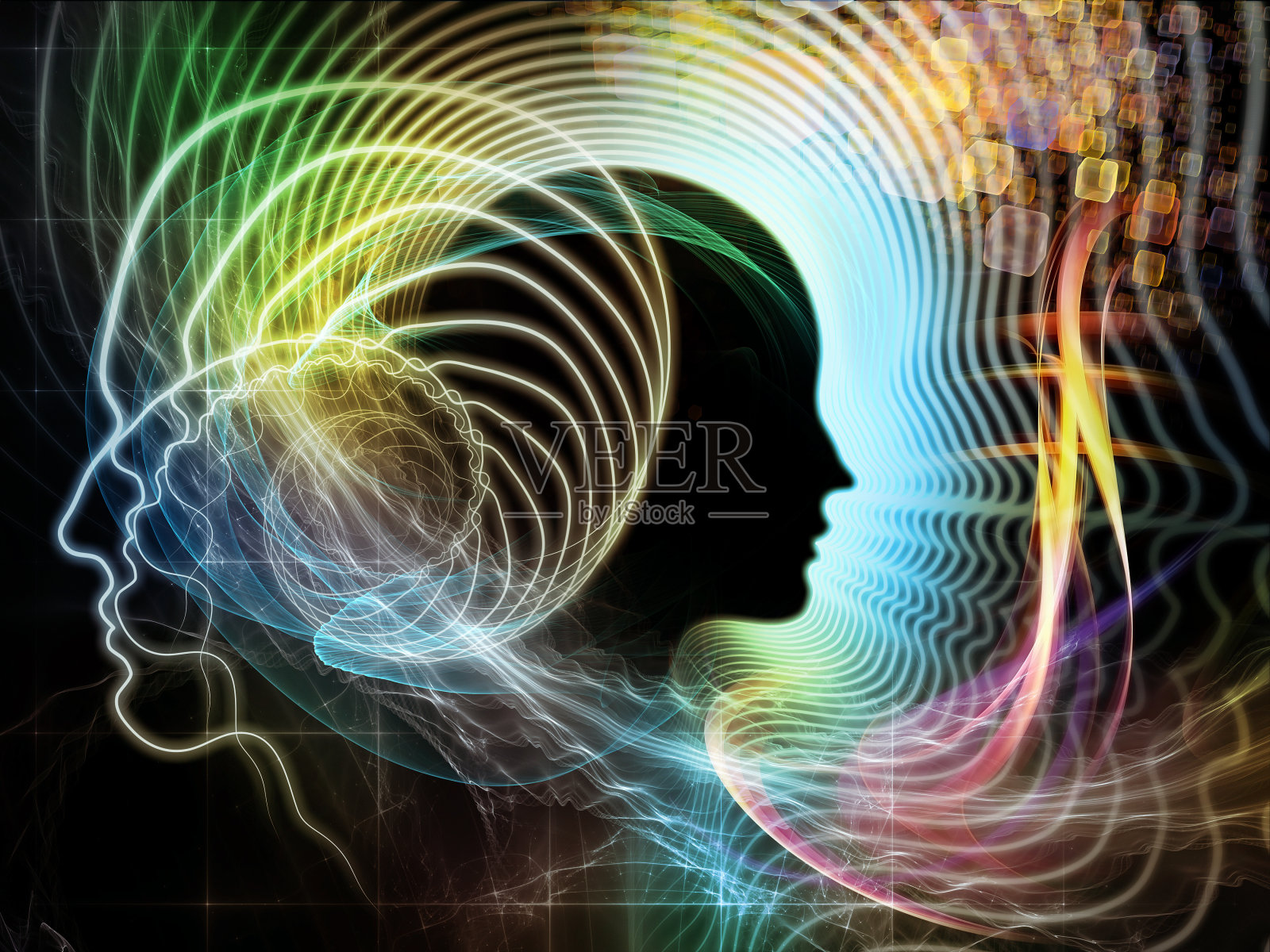 人类大脑进化照片摄影图片