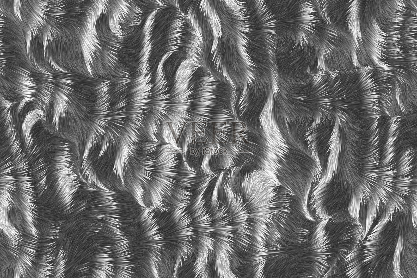 动物皮毛照片摄影图片