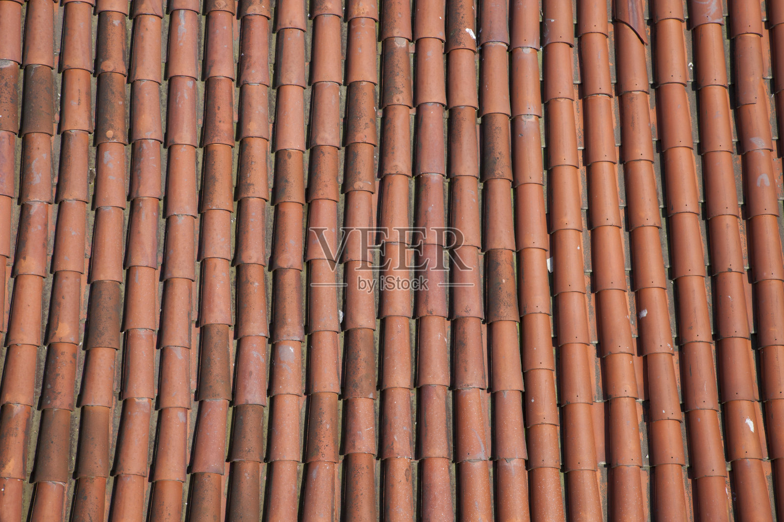 屋顶的模式照片摄影图片