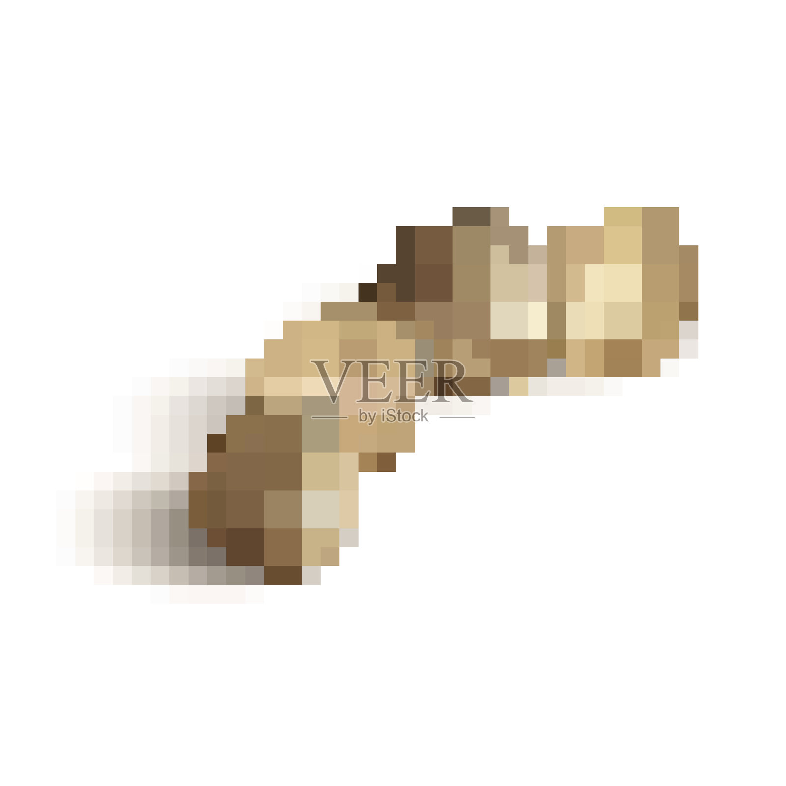 榛子向量插画图片素材