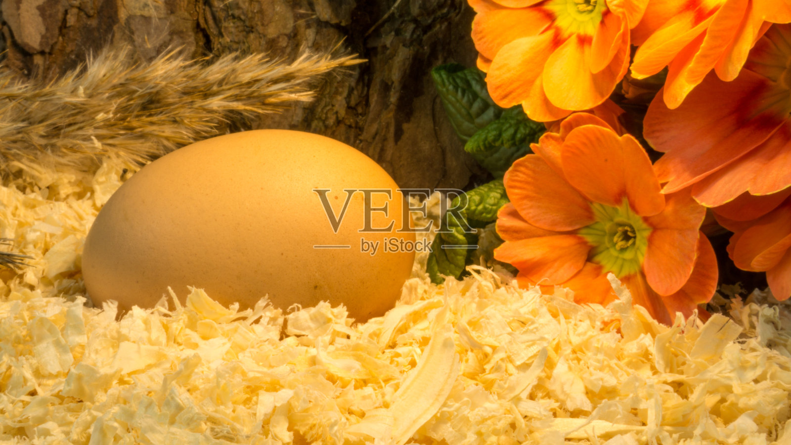 复活节彩蛋的木屑上有红色的花照片摄影图片