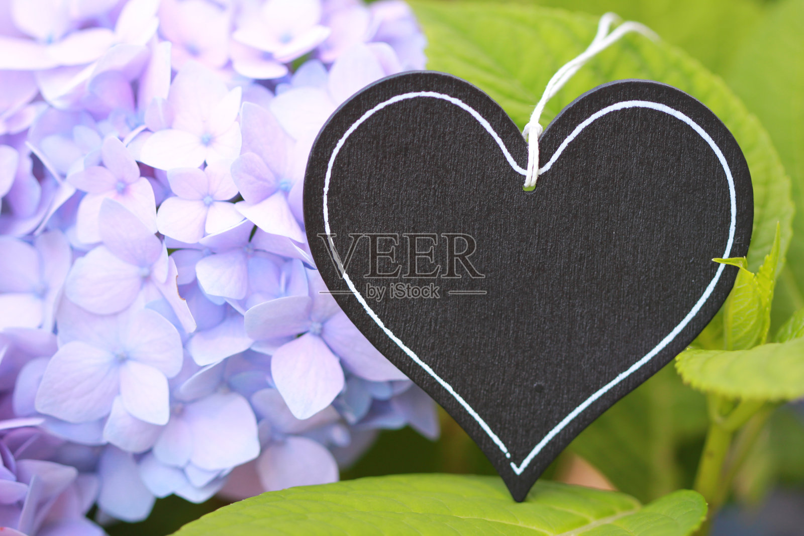 心石板与美丽的花卉背景照片摄影图片