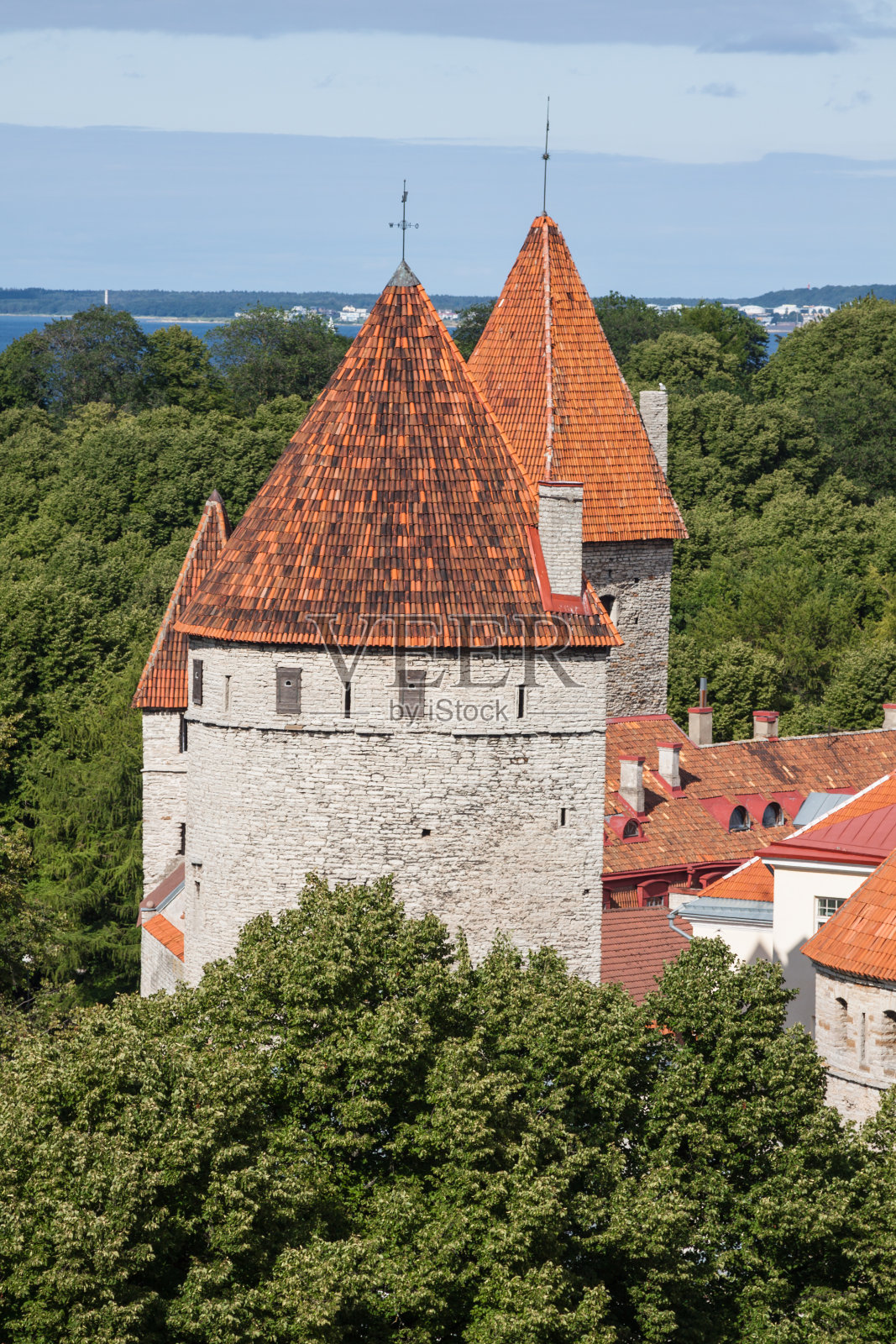 老城(爱沙尼亚首都塔林)照片摄影图片