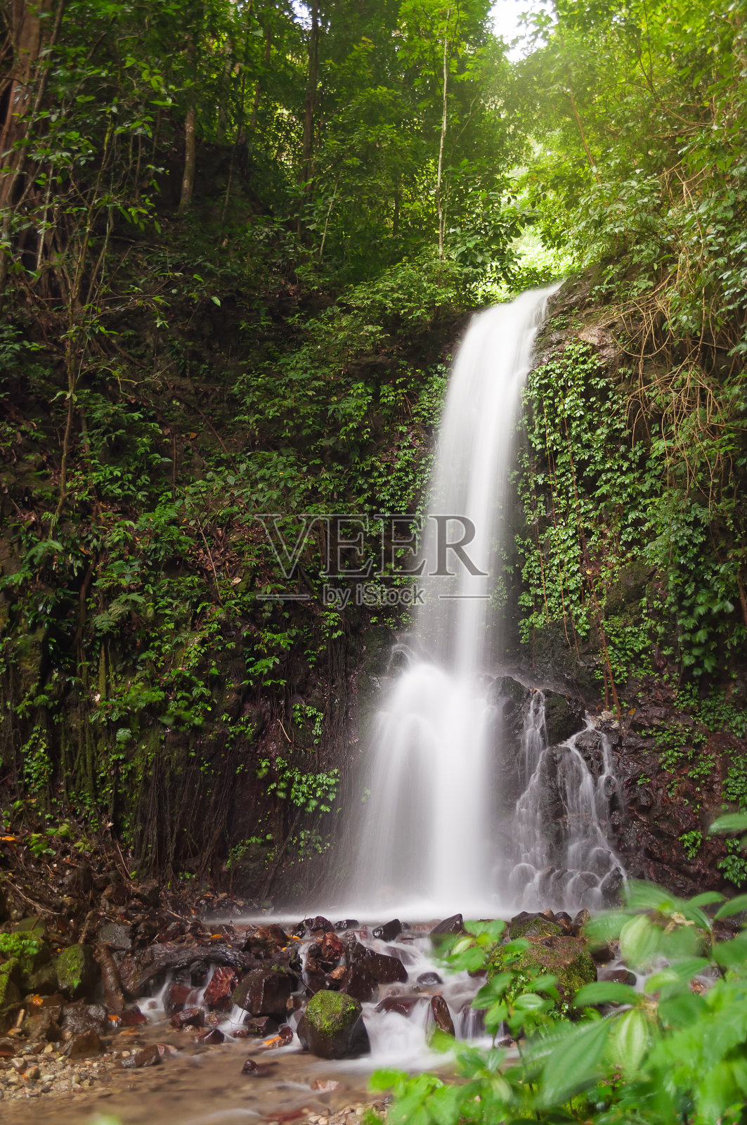 丛林中的小瀑布照片摄影图片