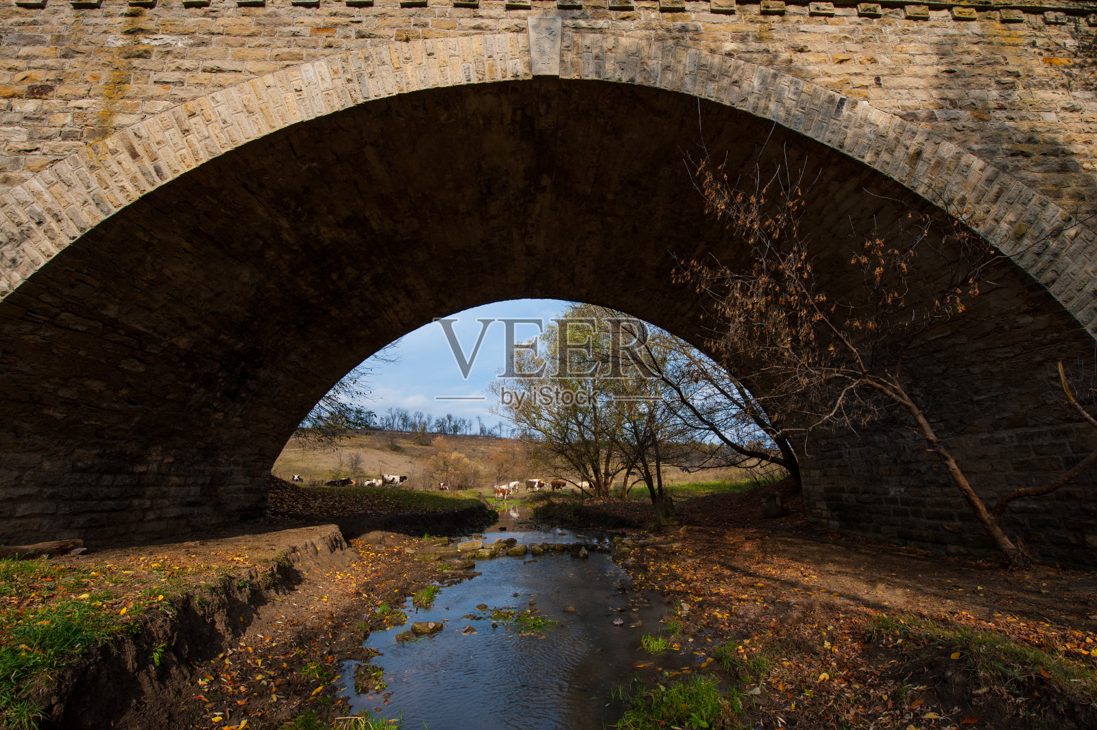 桥照片摄影图片