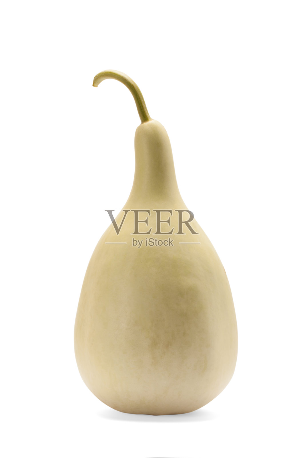 冬瓜照片摄影图片