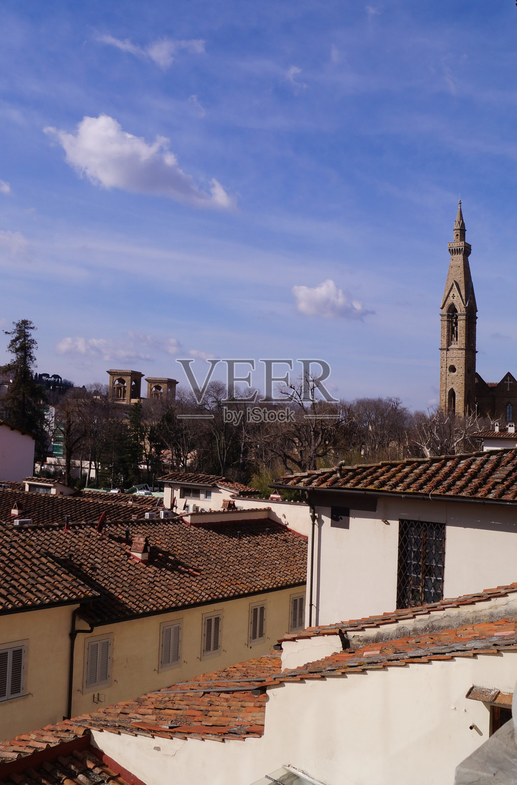 冬天树木的树枝照片摄影图片