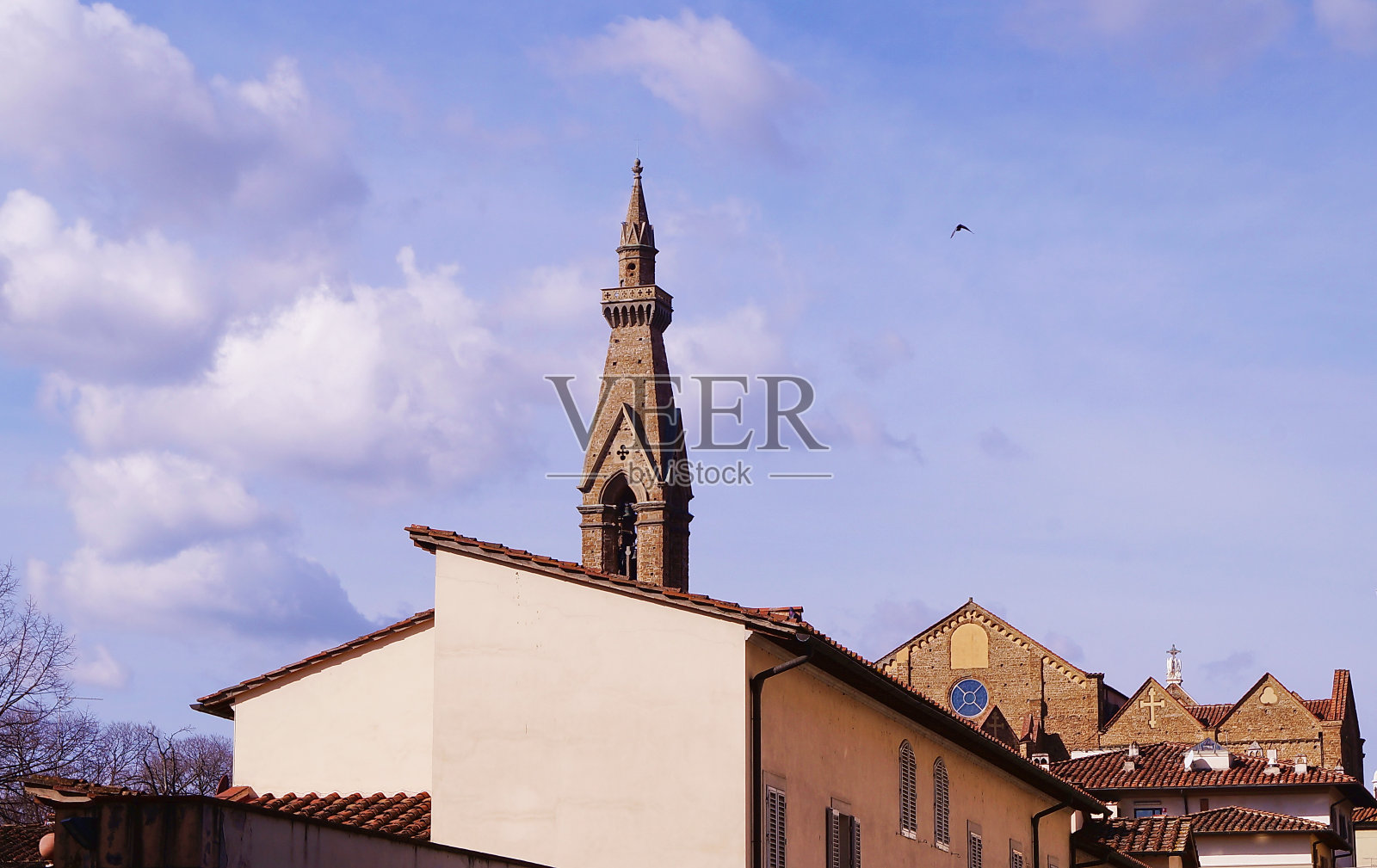 冬天树木的树枝照片摄影图片