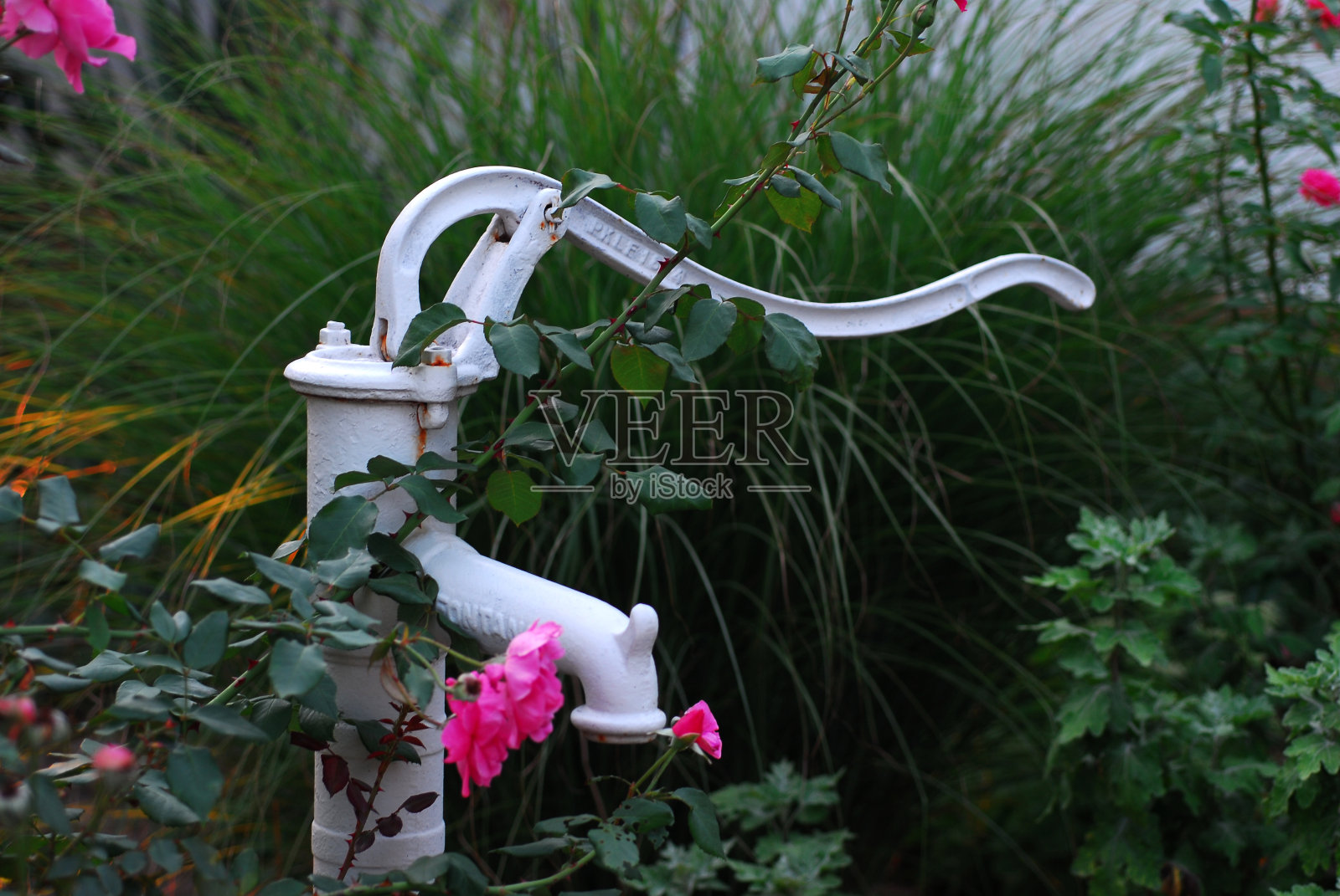 复古的水泵照片摄影图片