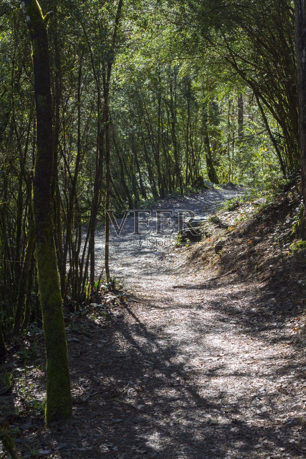 山路照片摄影图片
