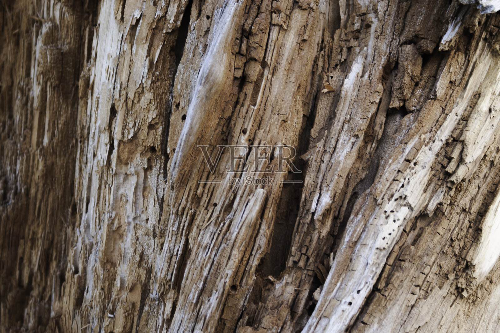 木材纹理照片摄影图片