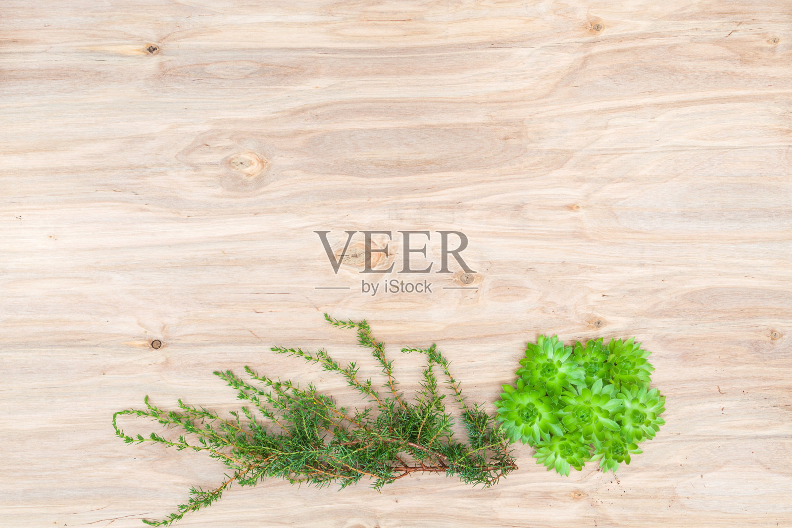 干花和草本拼贴构图在木桌上照片摄影图片