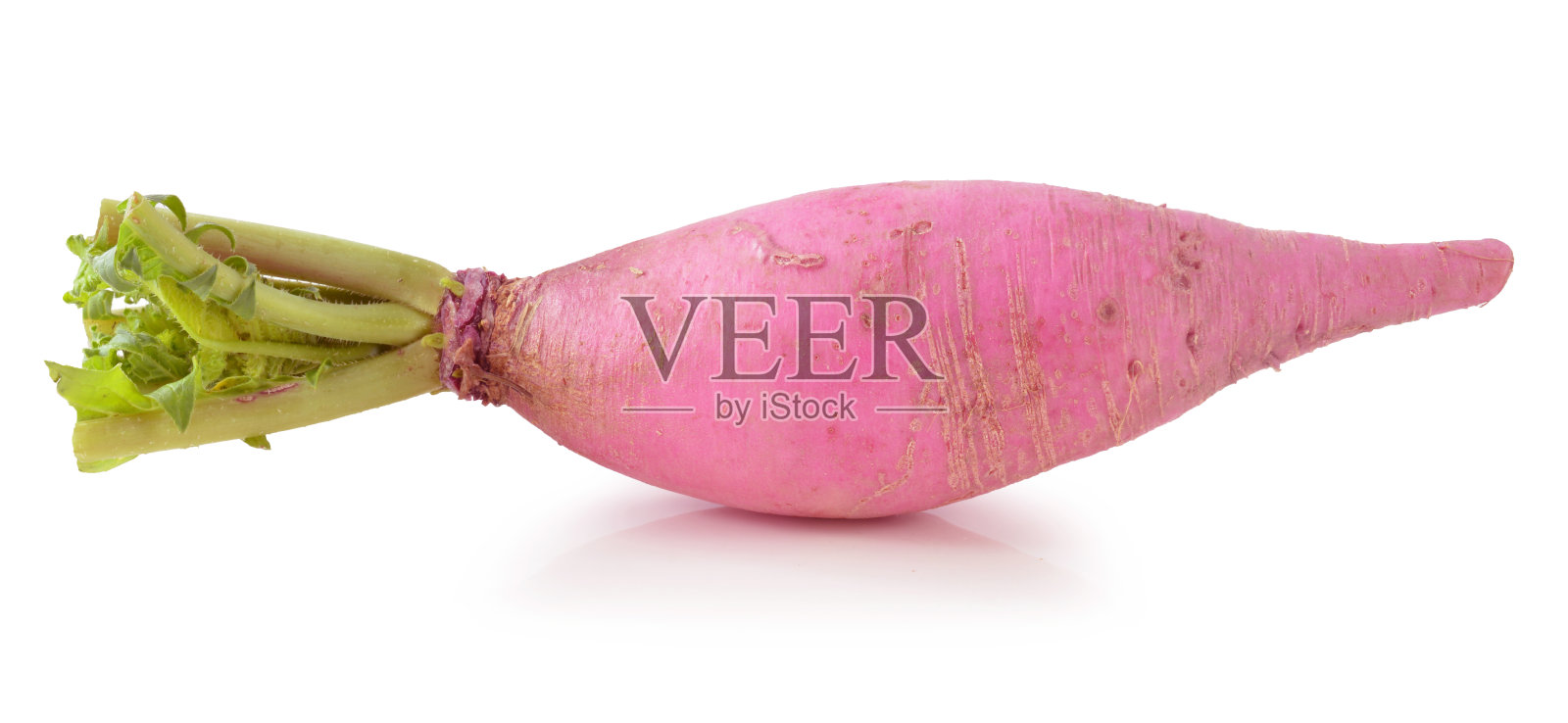 对党的忠诚萝卜照片摄影图片