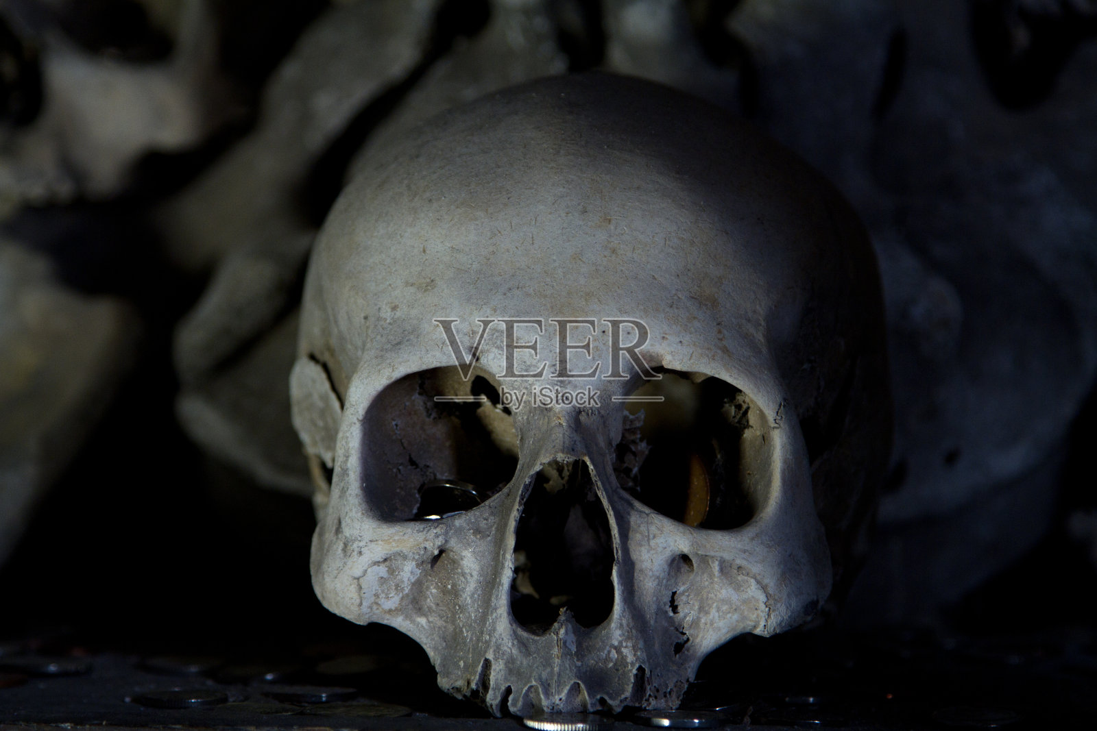 骨罐。照片摄影图片