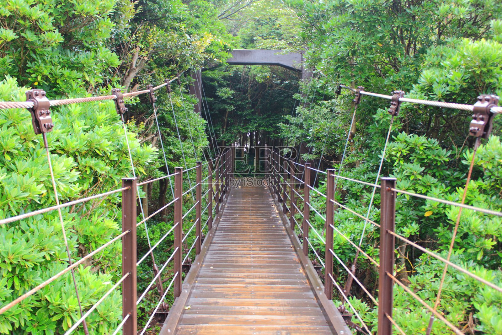 悬索桥在雨天拍摄照片摄影图片