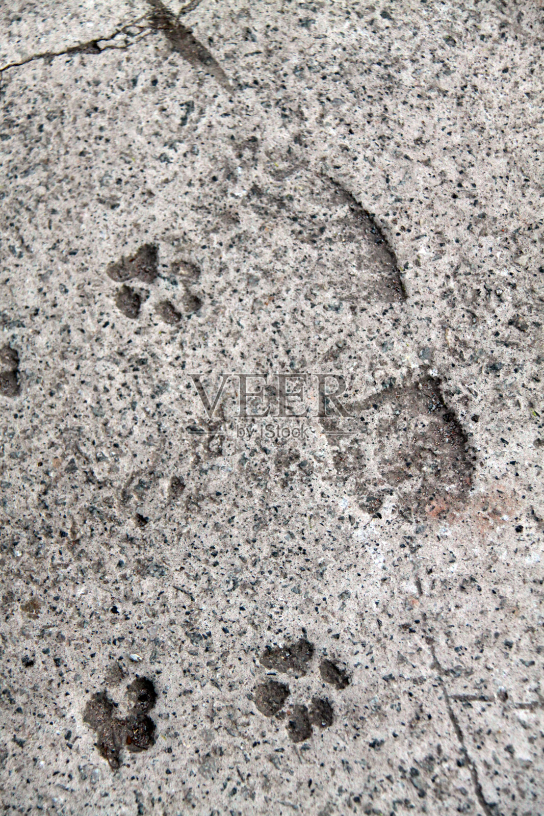 脚印在水泥照片摄影图片