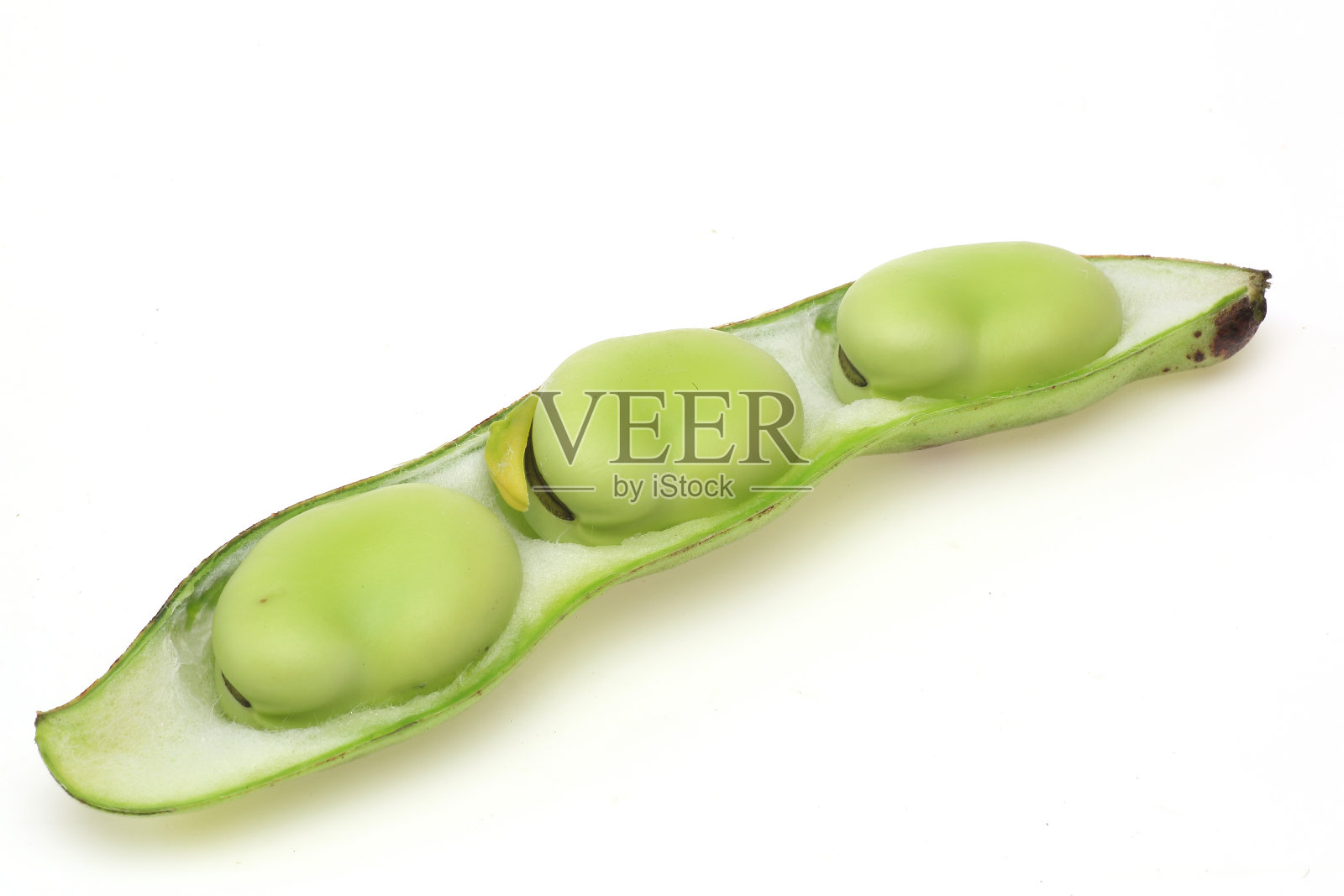 豆荚中的蚕豆照片摄影图片