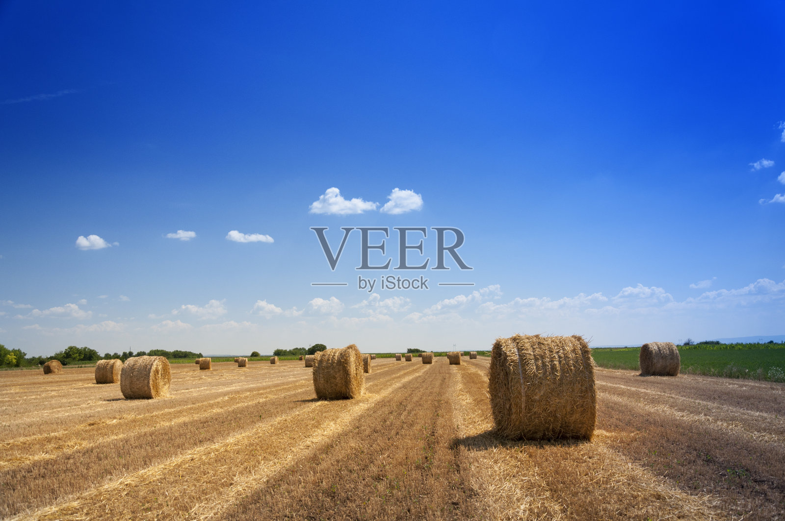 一片新捆的土地照片摄影图片