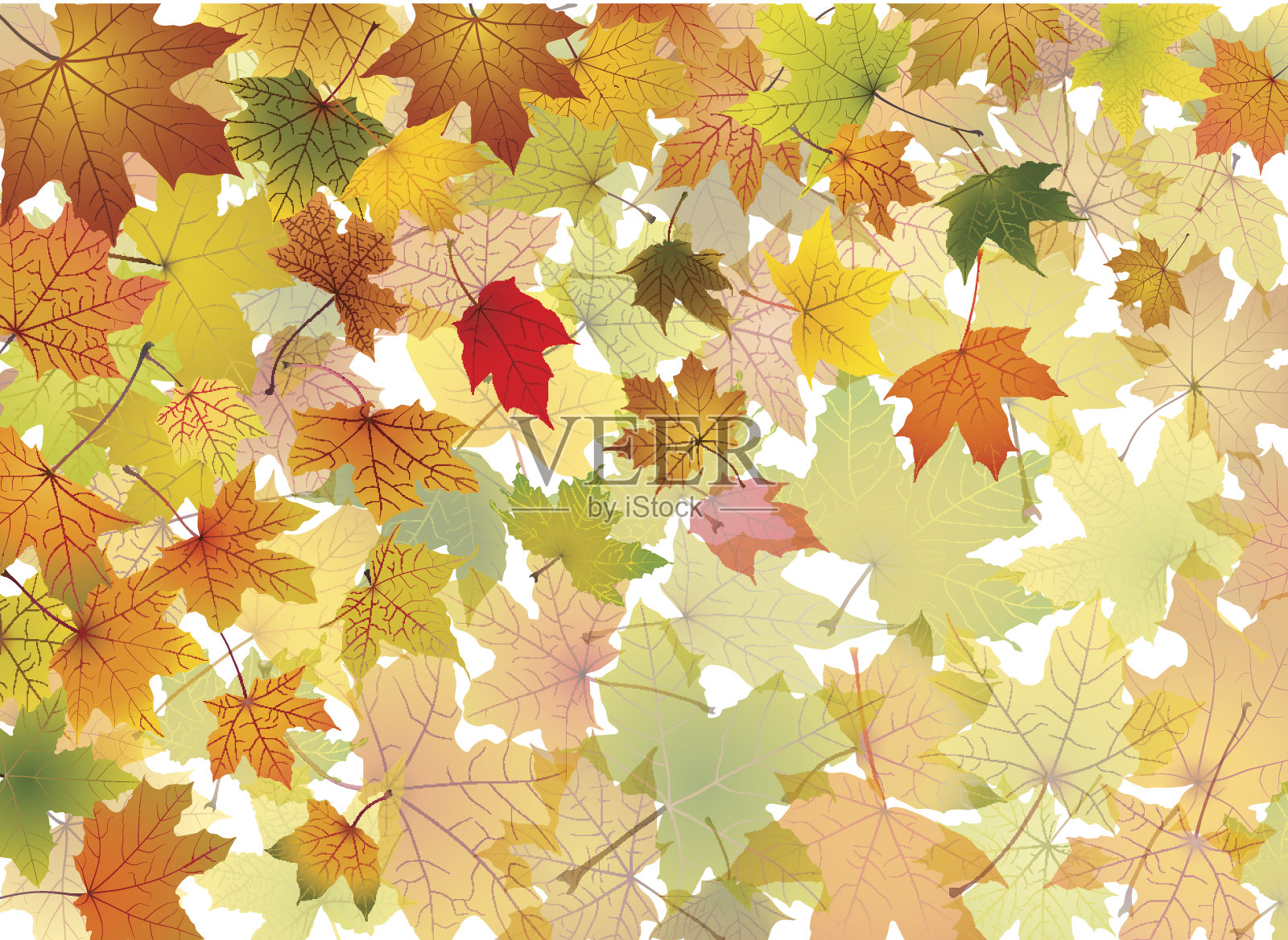 秋天背景插画图片素材