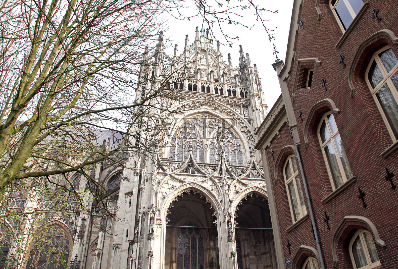 圣约翰大教堂，位于荷兰的赫托根博斯照片摄影图片