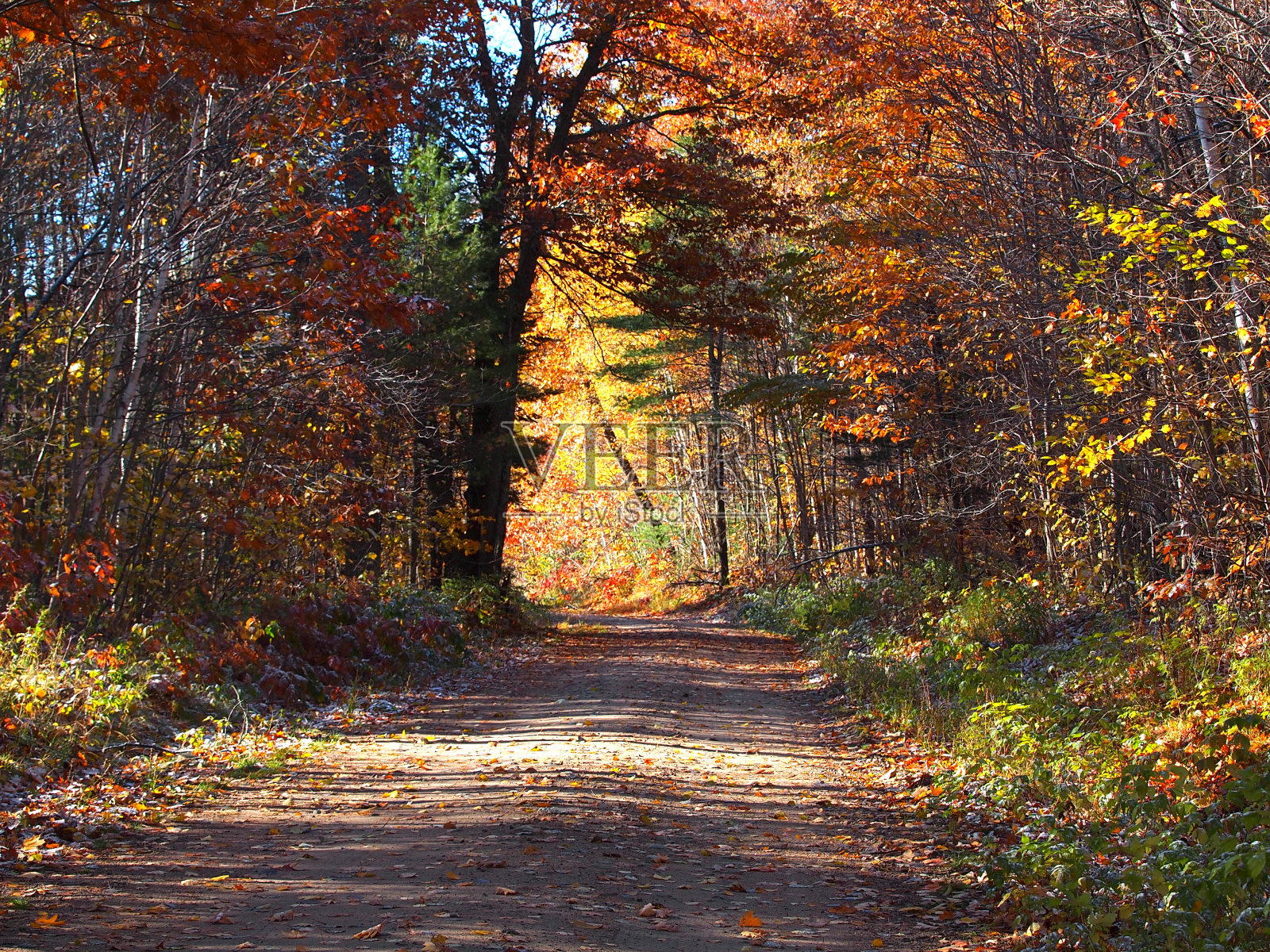 小路照片摄影图片