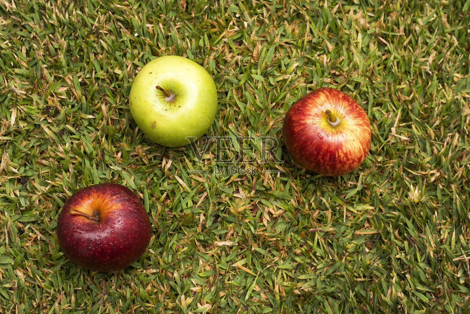 草丛中的苹果照片摄影图片