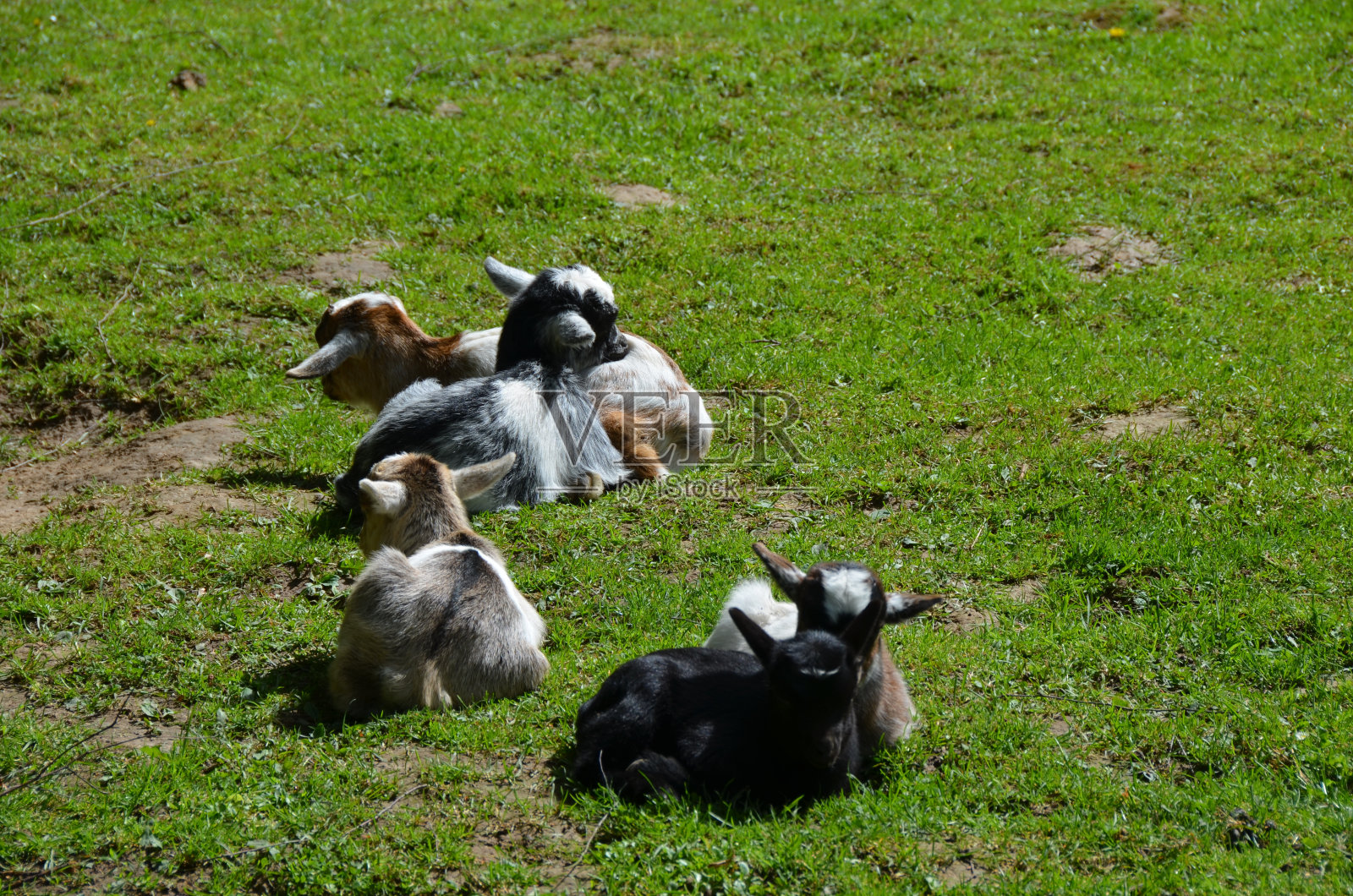 孩子们照片摄影图片