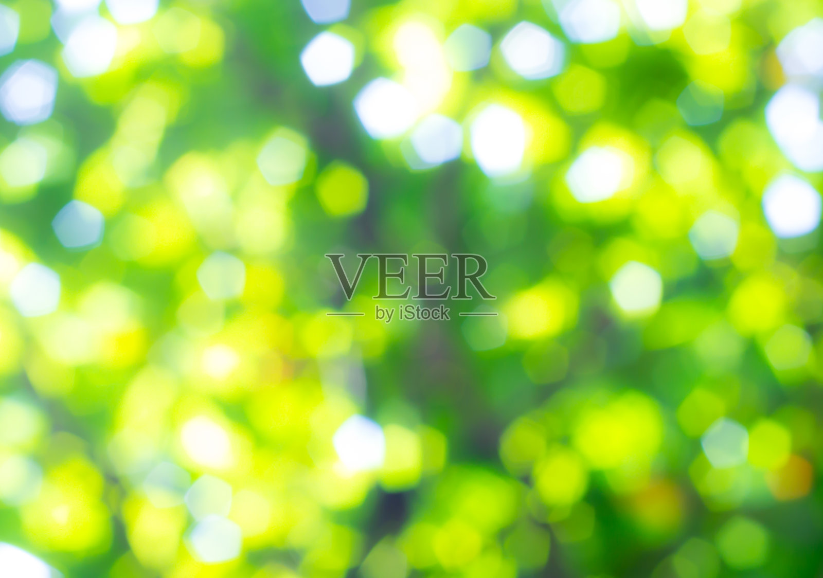 自然的绿色模糊背景。照片摄影图片