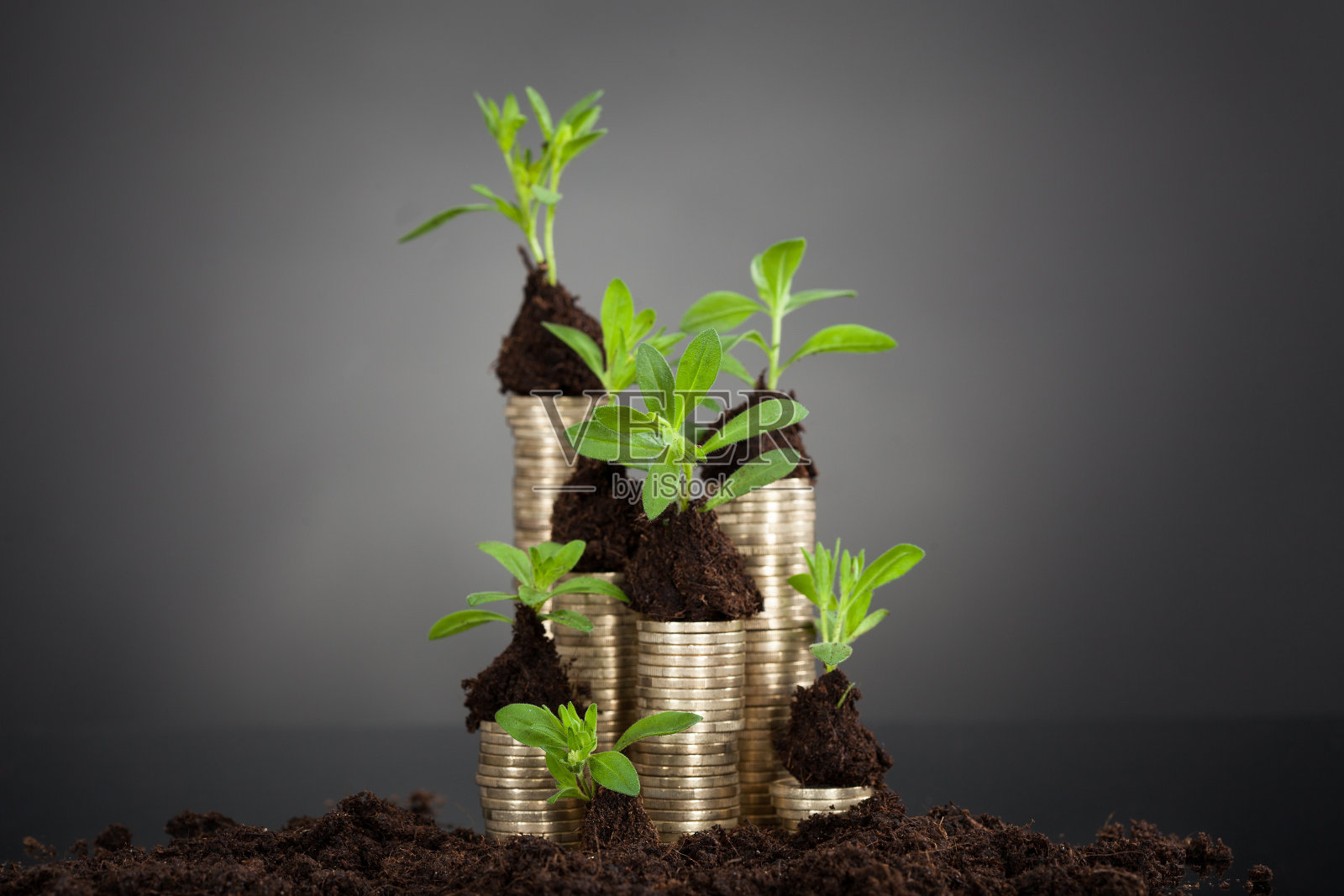 桌上一堆硬币上的树苗照片摄影图片