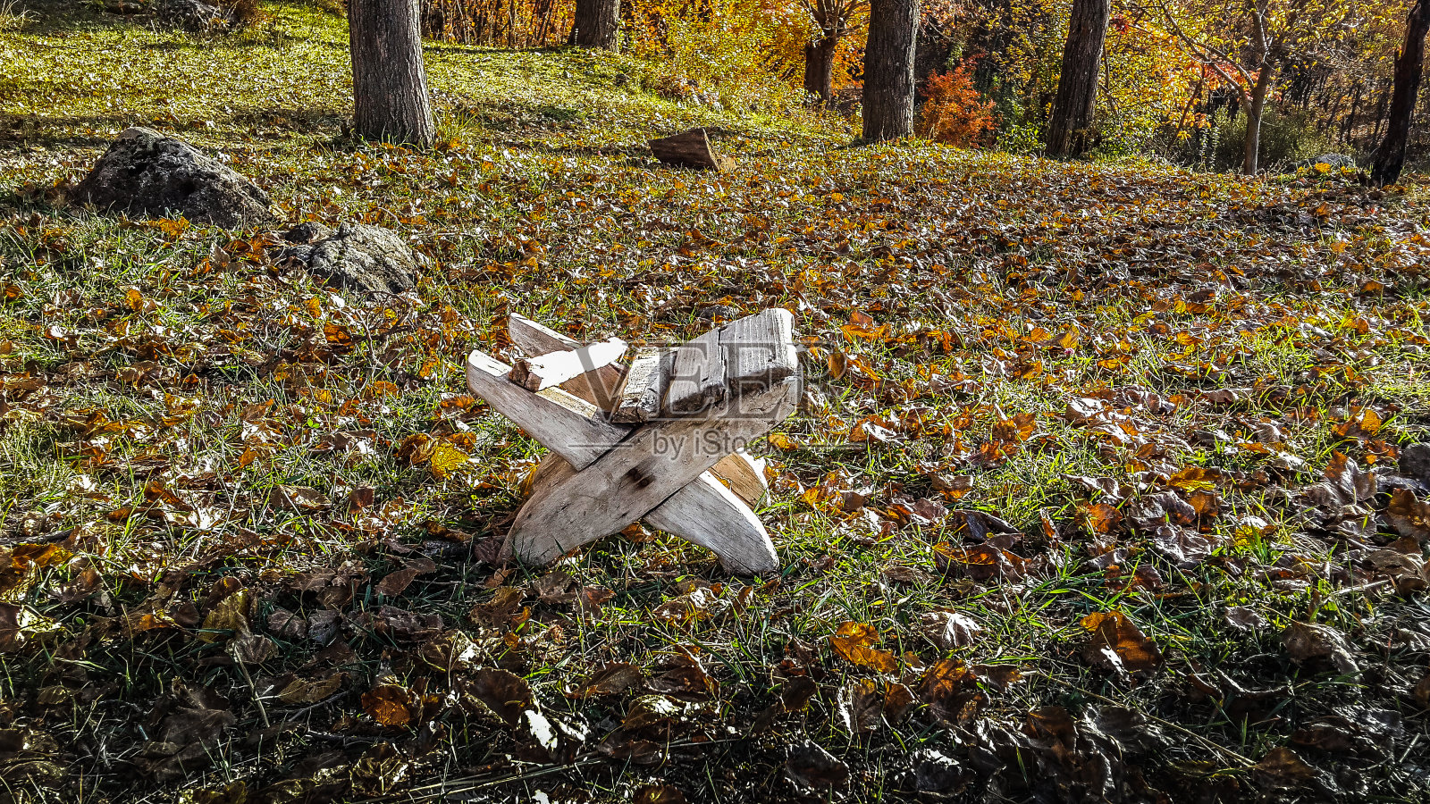 秋天的森林和木凳照片摄影图片