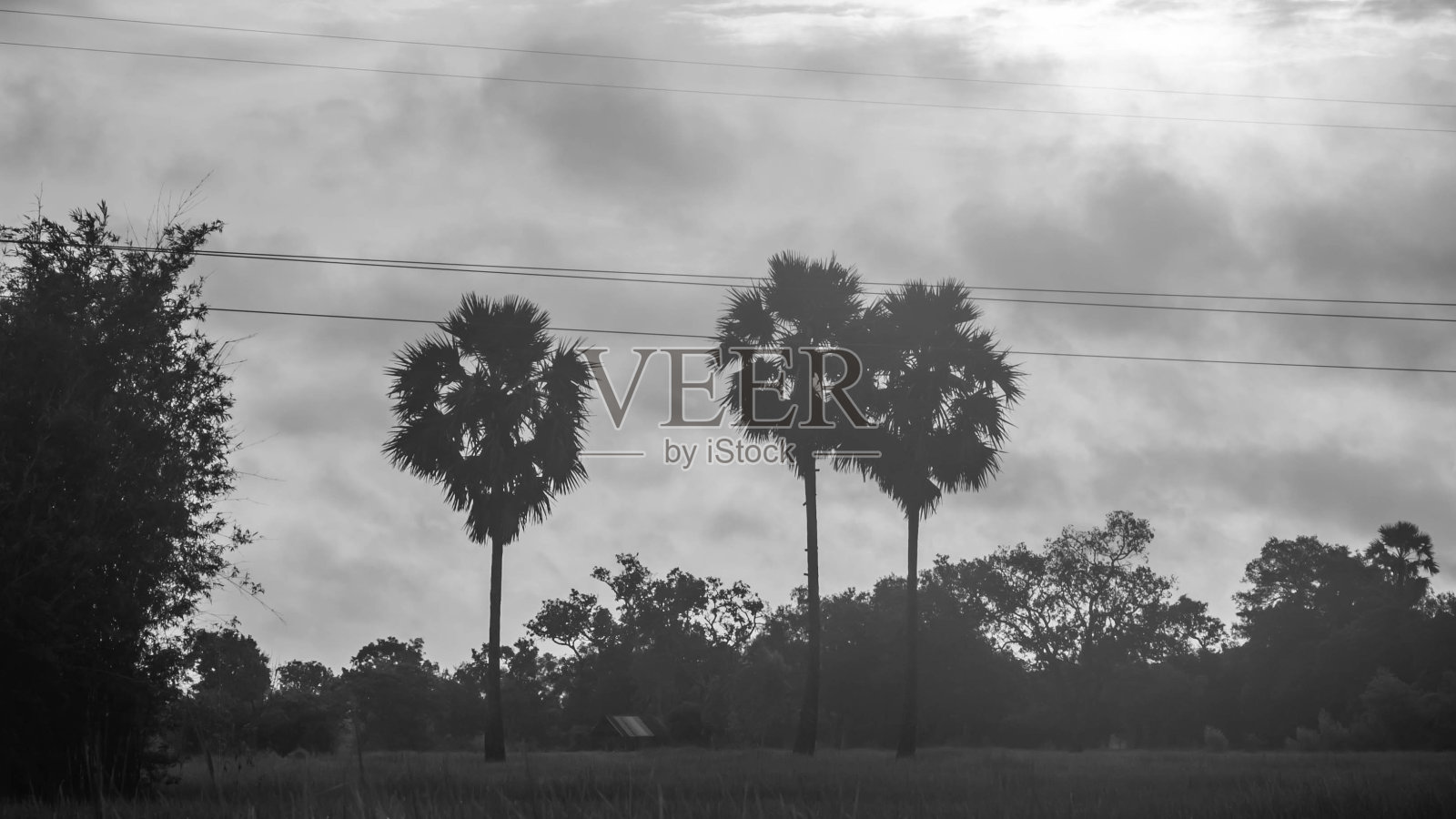 日出照片摄影图片