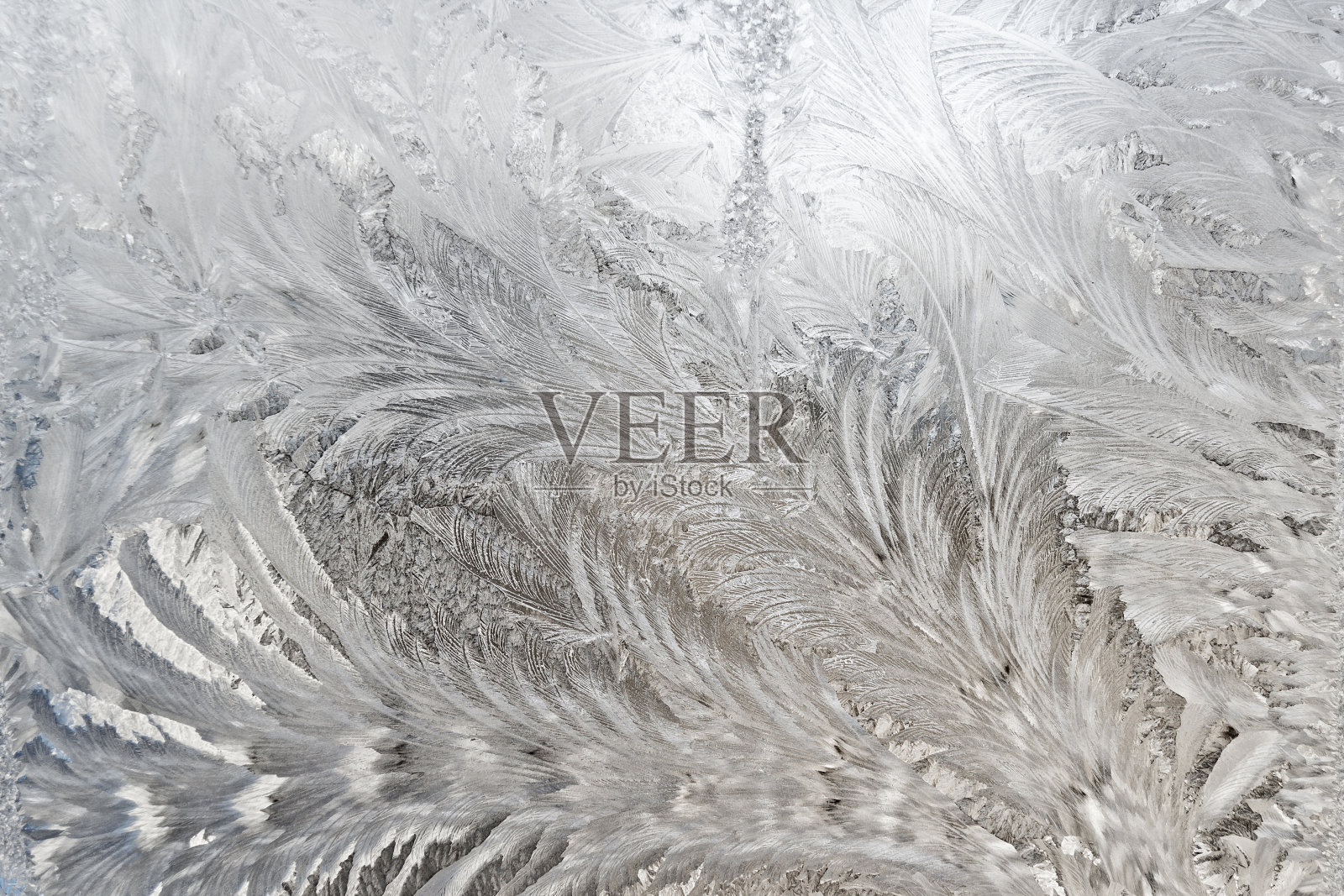 冬天的磨砂玻璃照片摄影图片