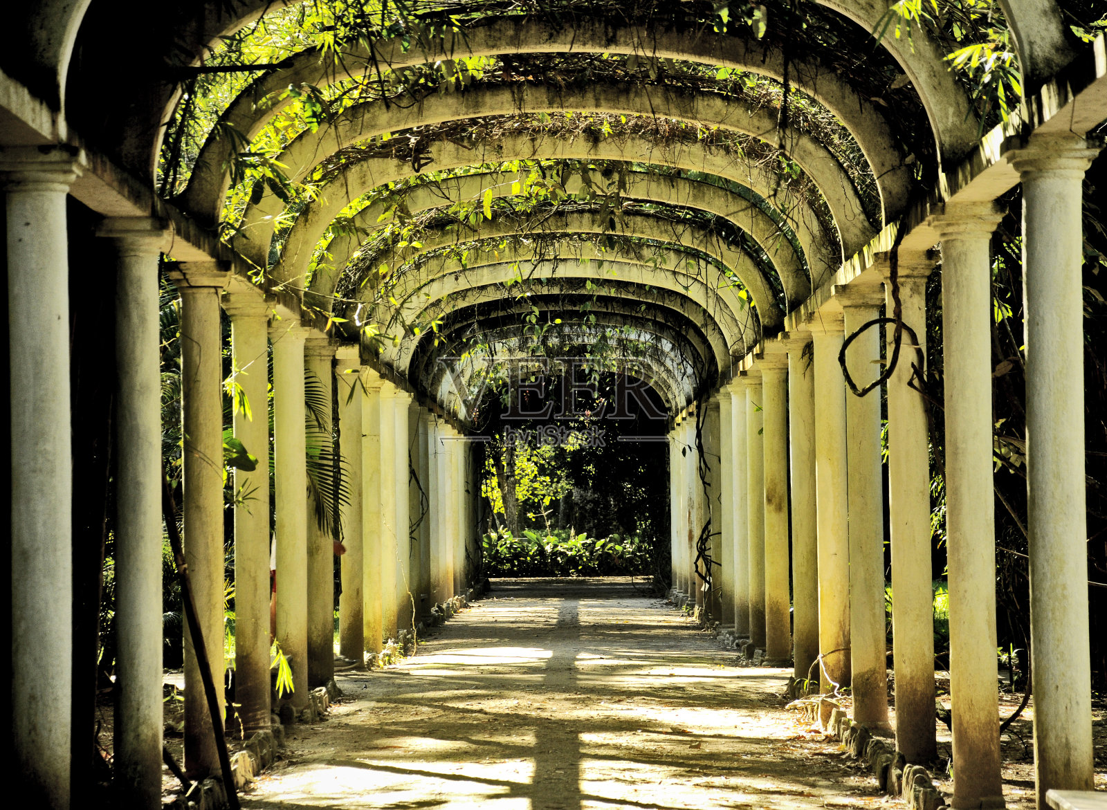 自然爱情隧道照片摄影图片