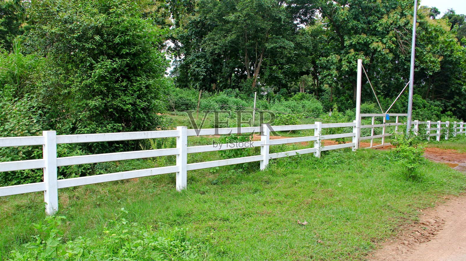 奶牛马栅栏照片摄影图片