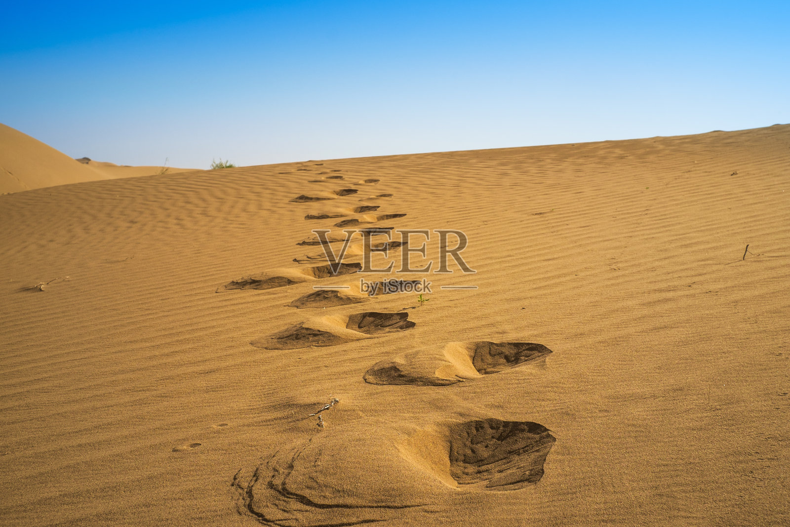 中亚沙漠照片摄影图片