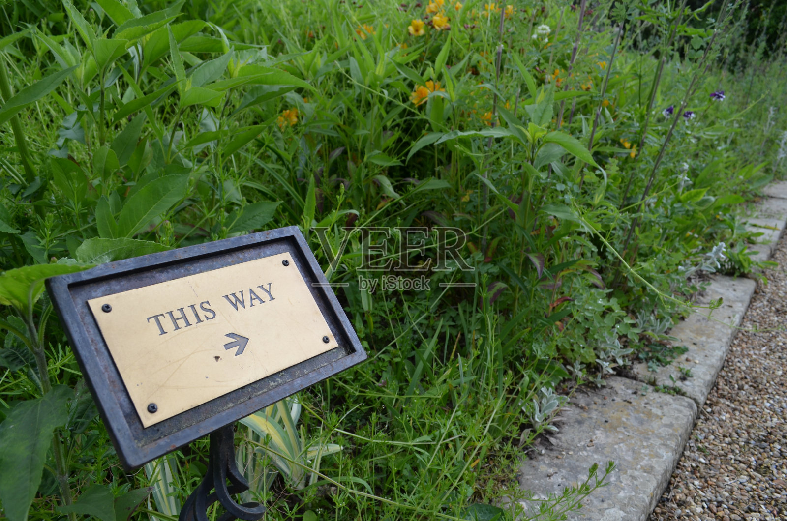 这样的迹象。照片摄影图片