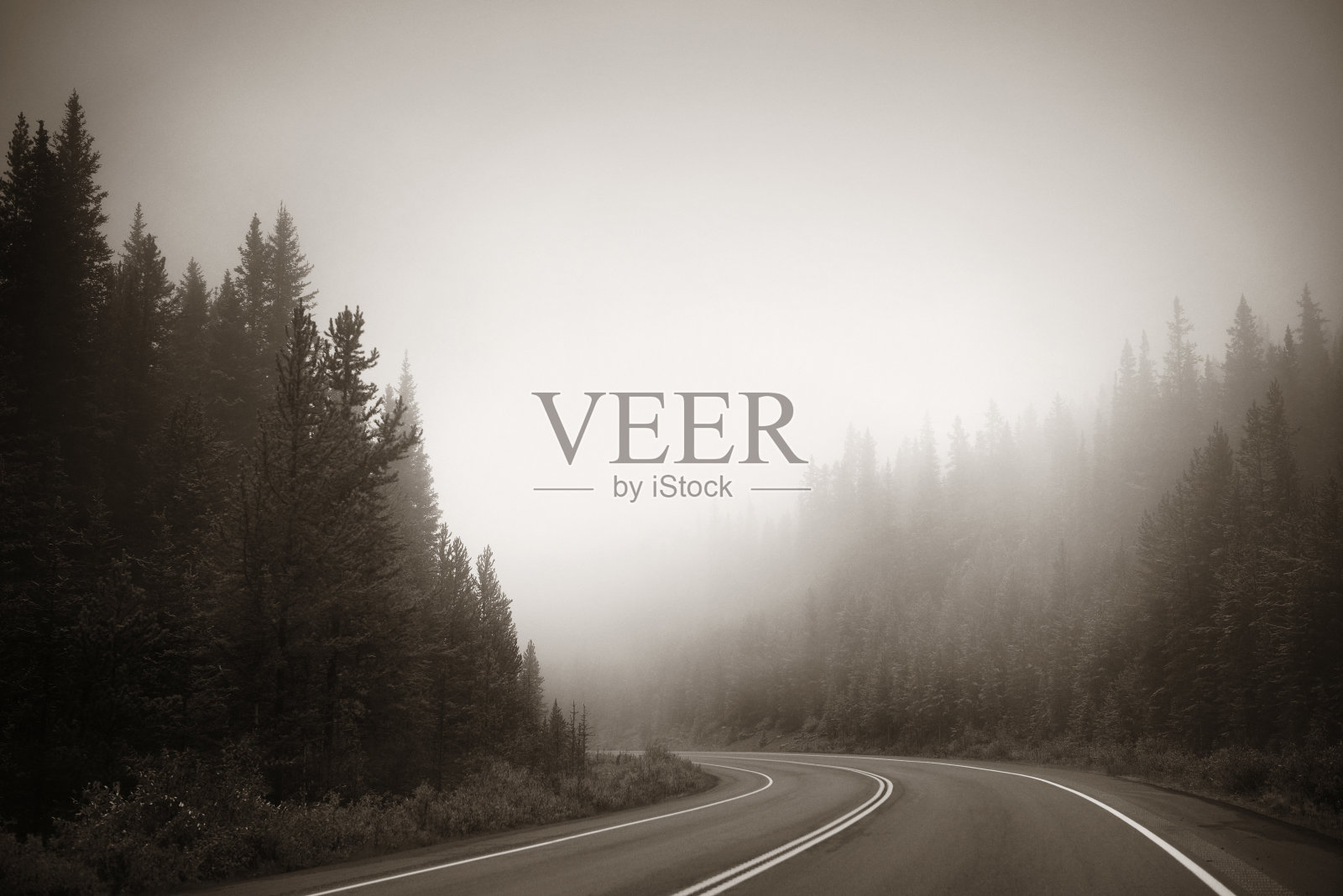 雾蒙蒙的道路照片摄影图片