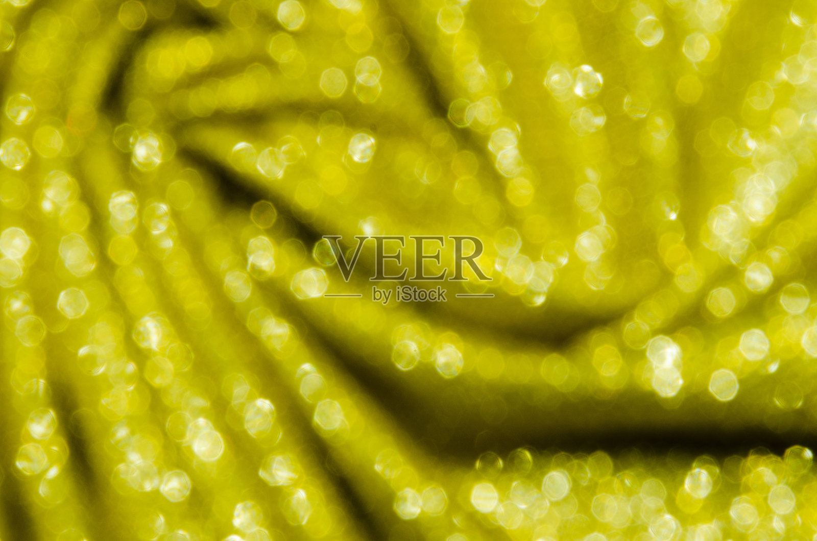 散景照片摄影图片