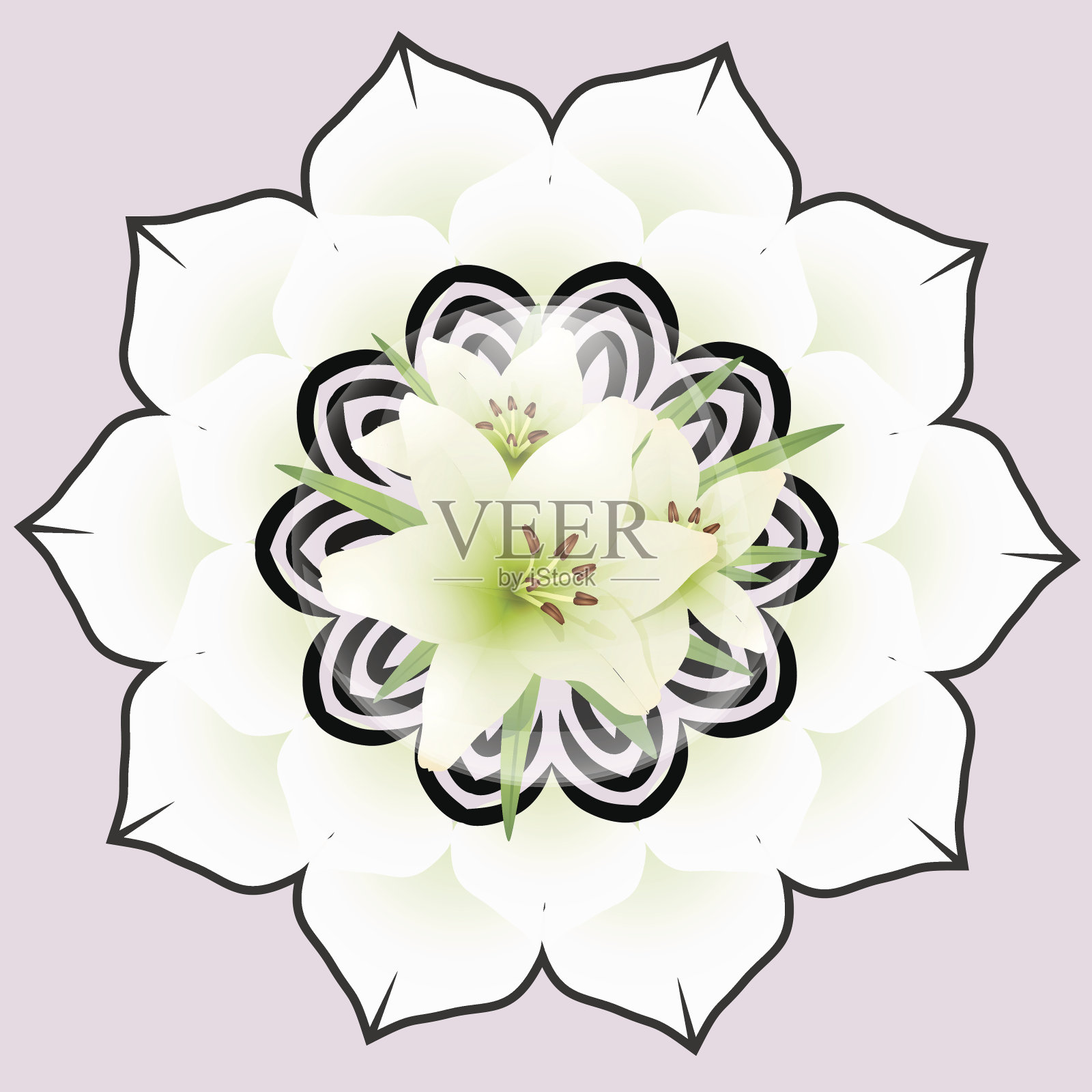 美丽的花朵插画图片素材