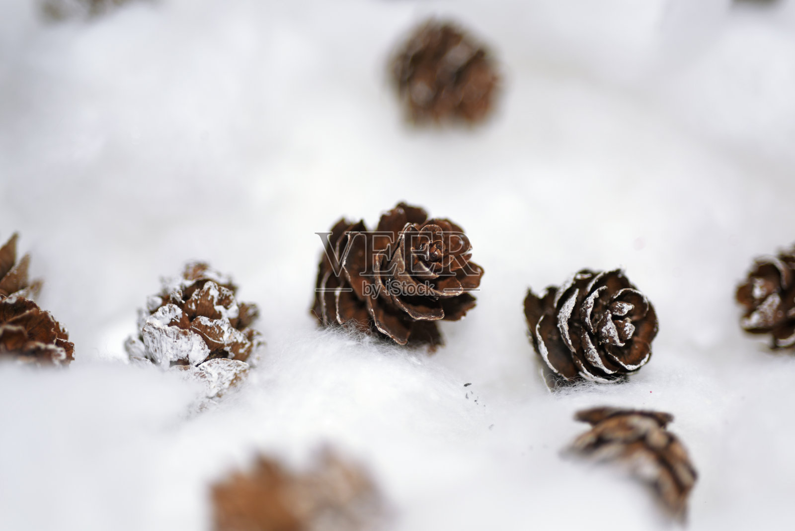 雪中的松果。照片摄影图片